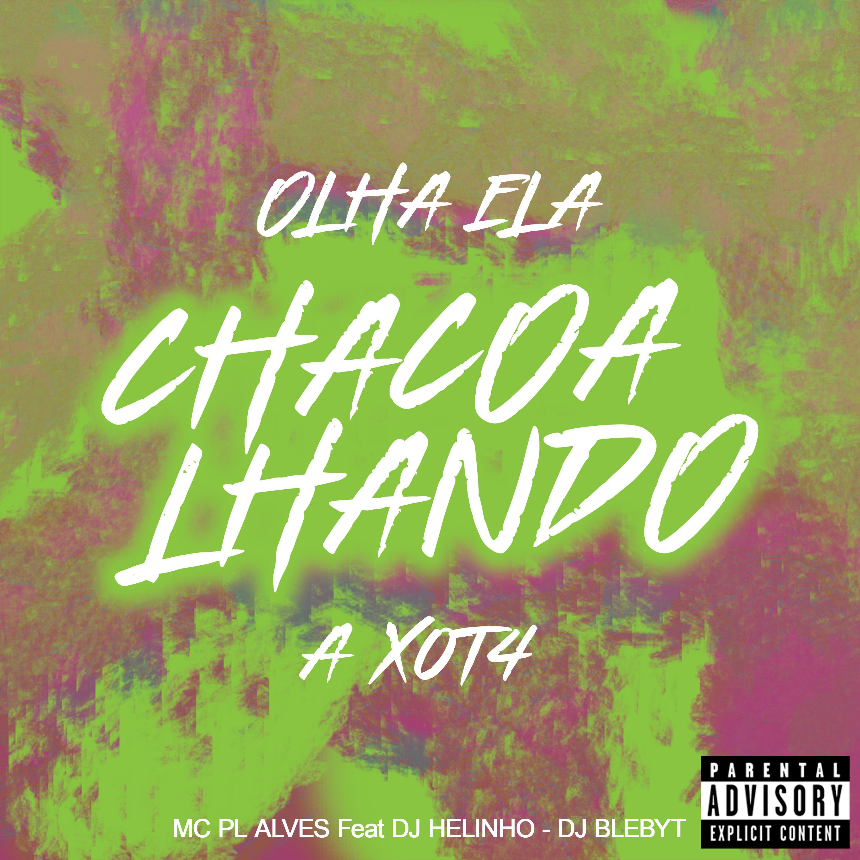 Постер альбома Olha Ela Chacoalhando a Xota