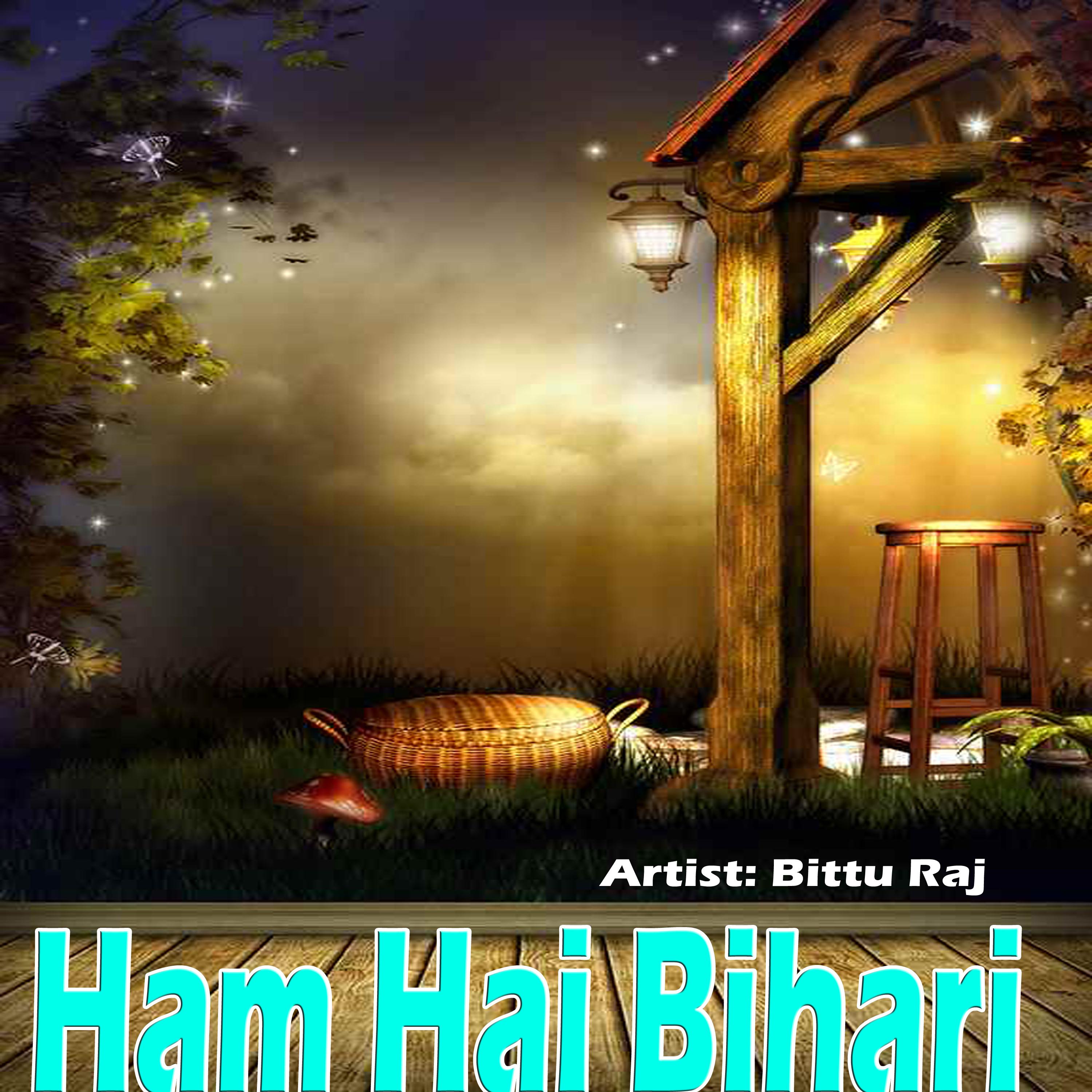 Постер альбома Ham Hai Bihari