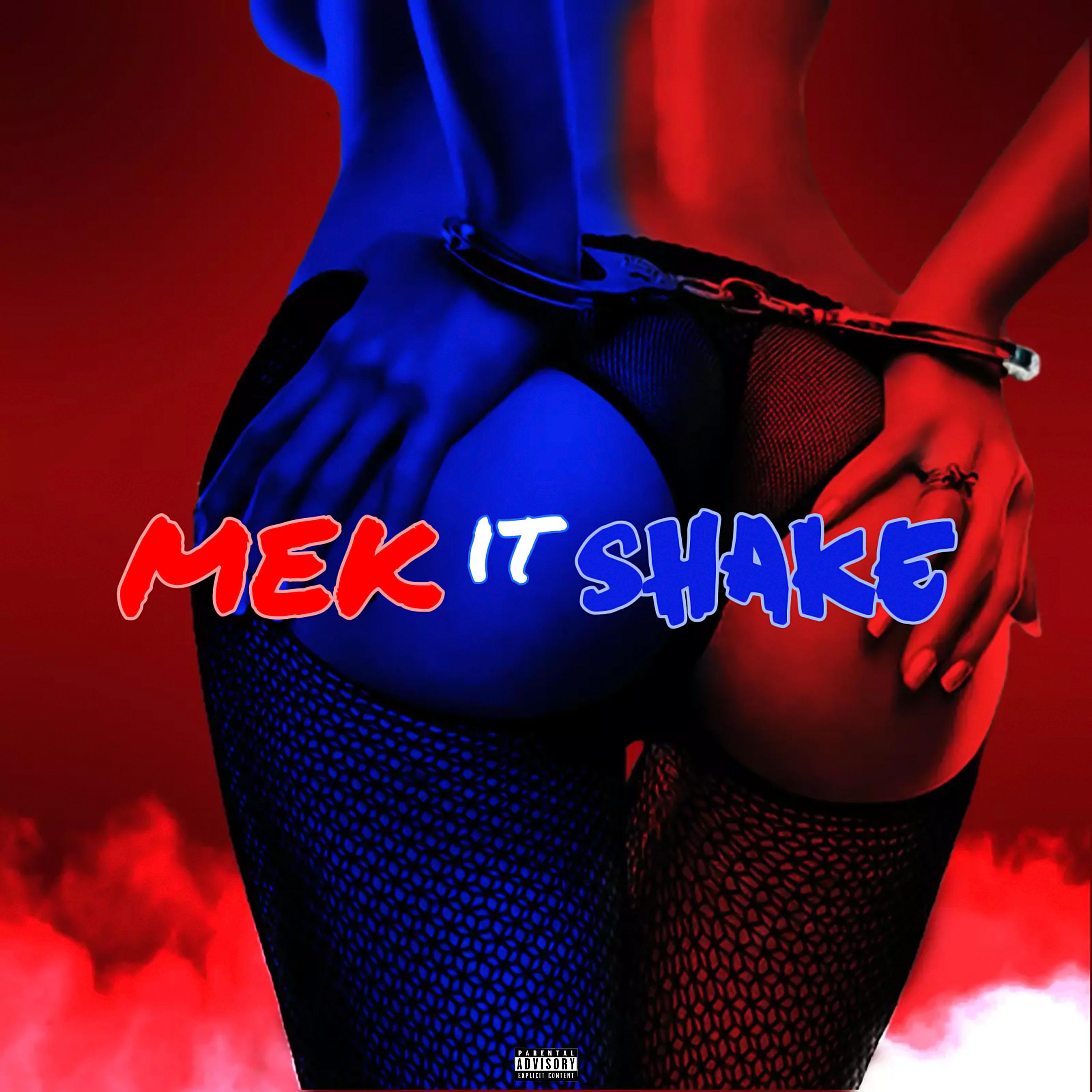 Постер альбома Mek It Shake
