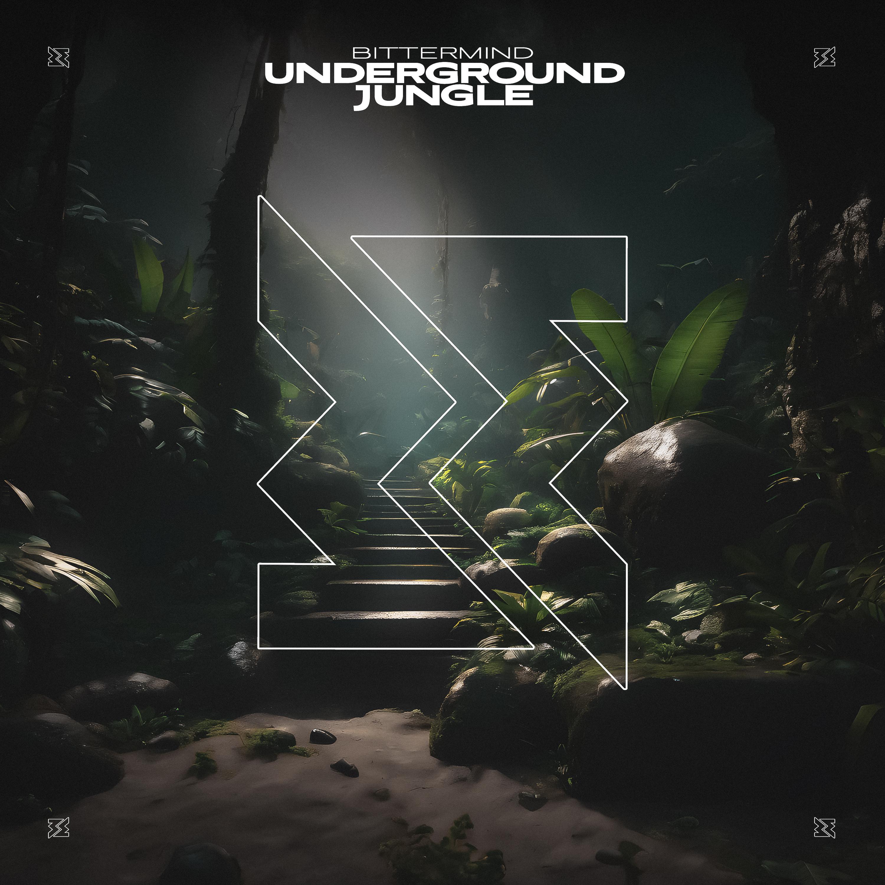 Постер альбома Underground Jungle