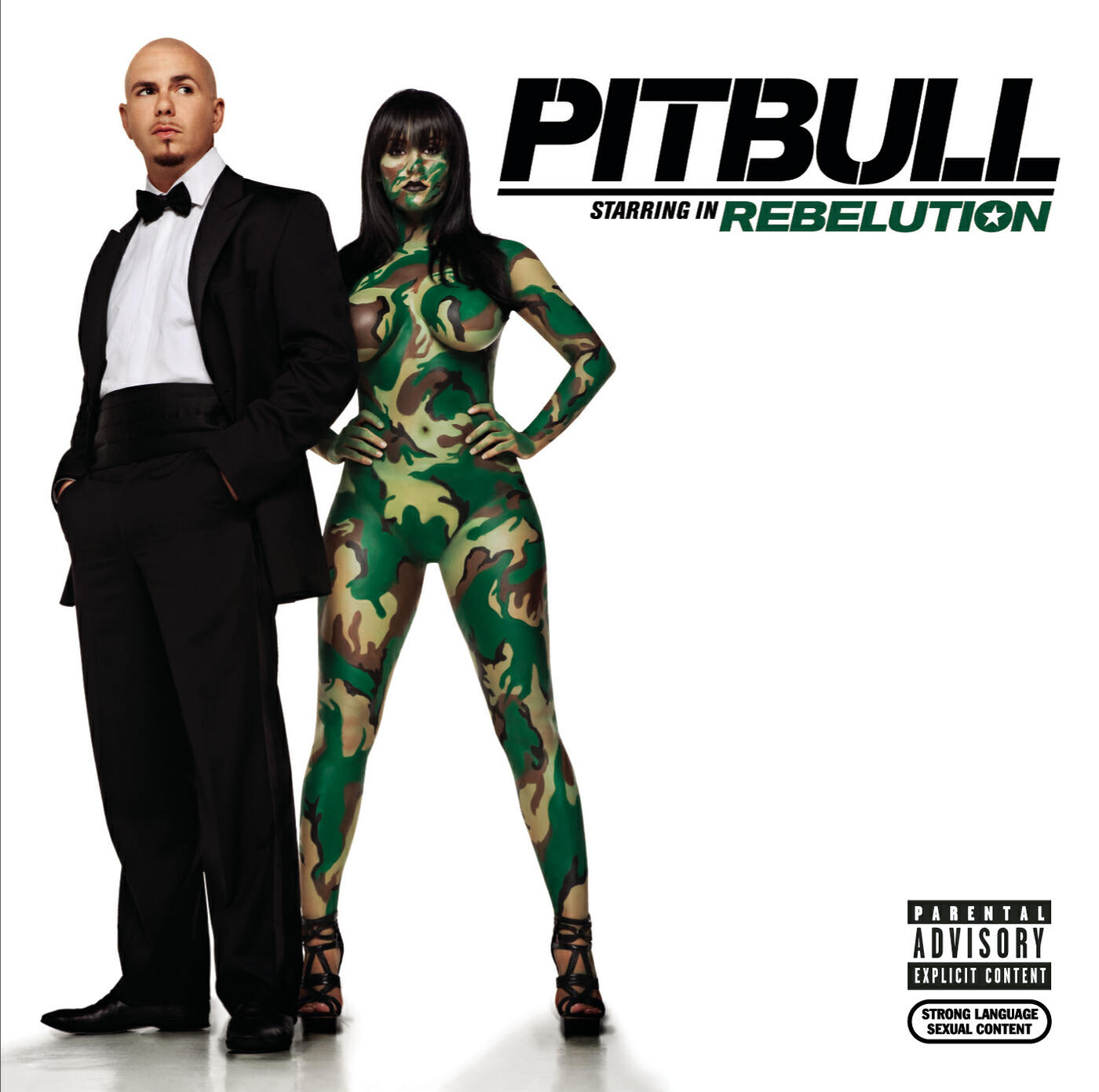 Pitbull - Full Of S**t