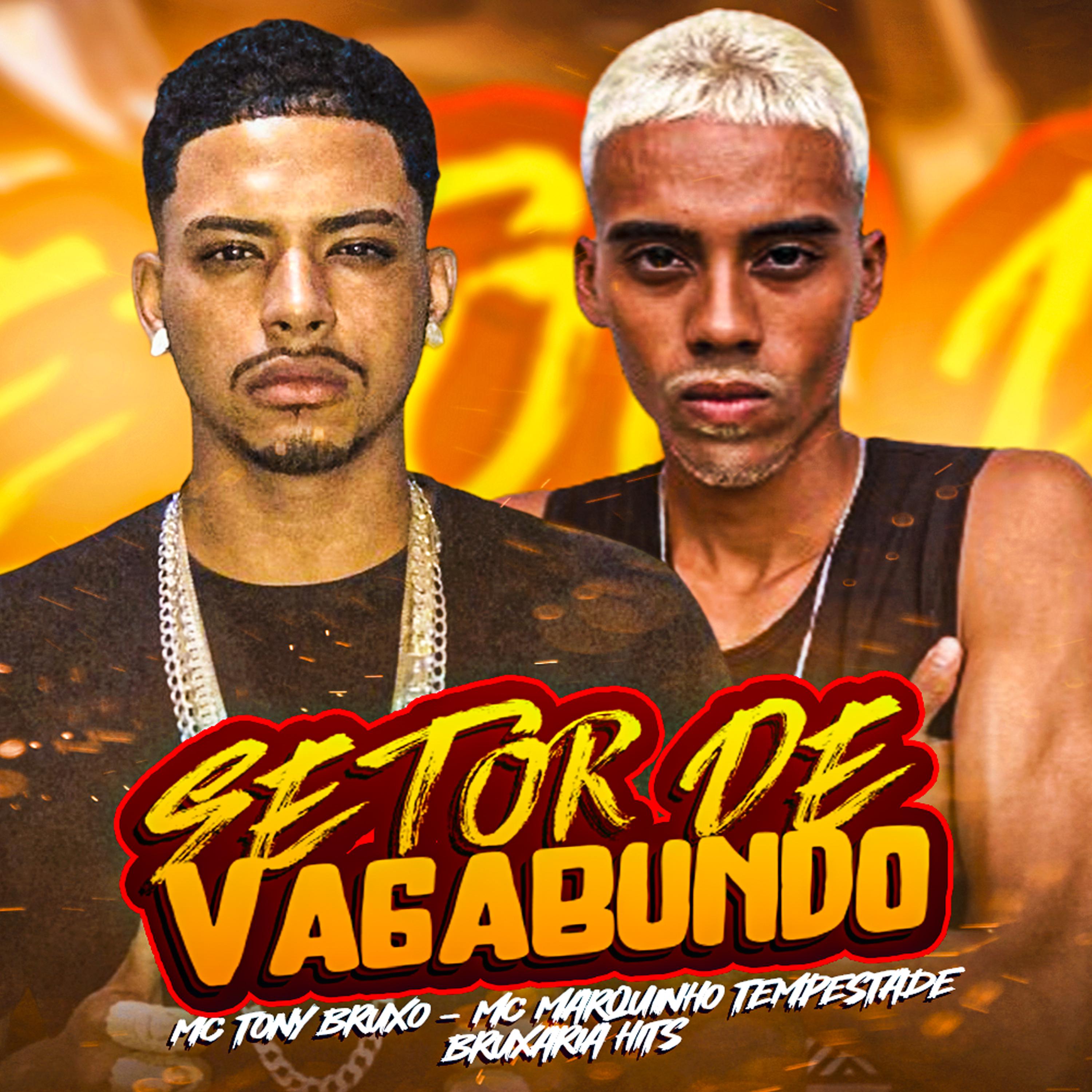 Постер альбома Setor de Vagabundo