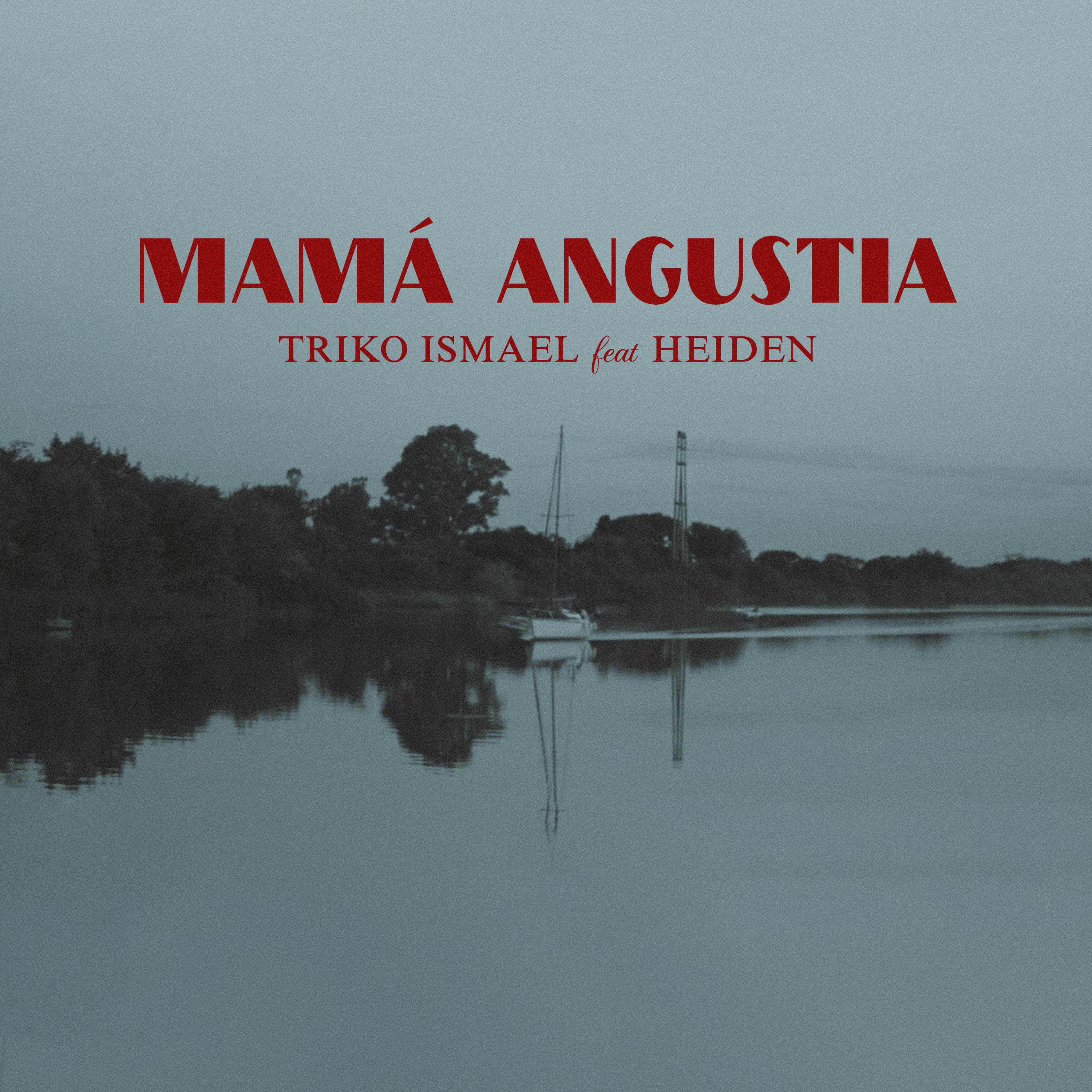 Постер альбома Mamá Angustia