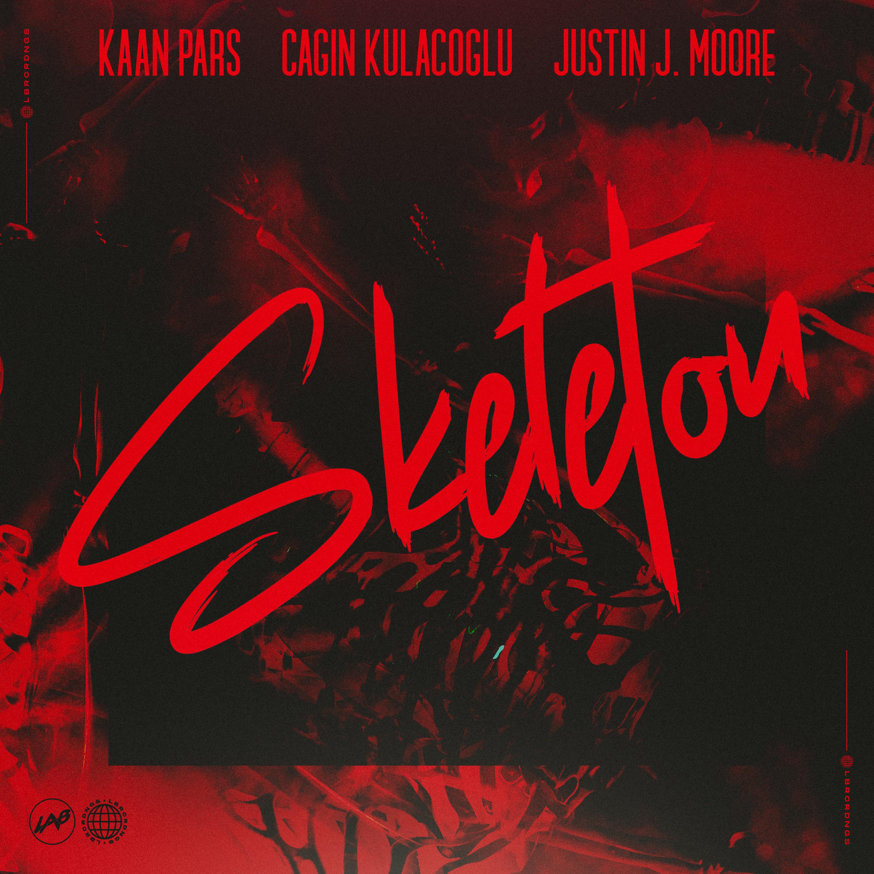 Постер альбома Skeleton