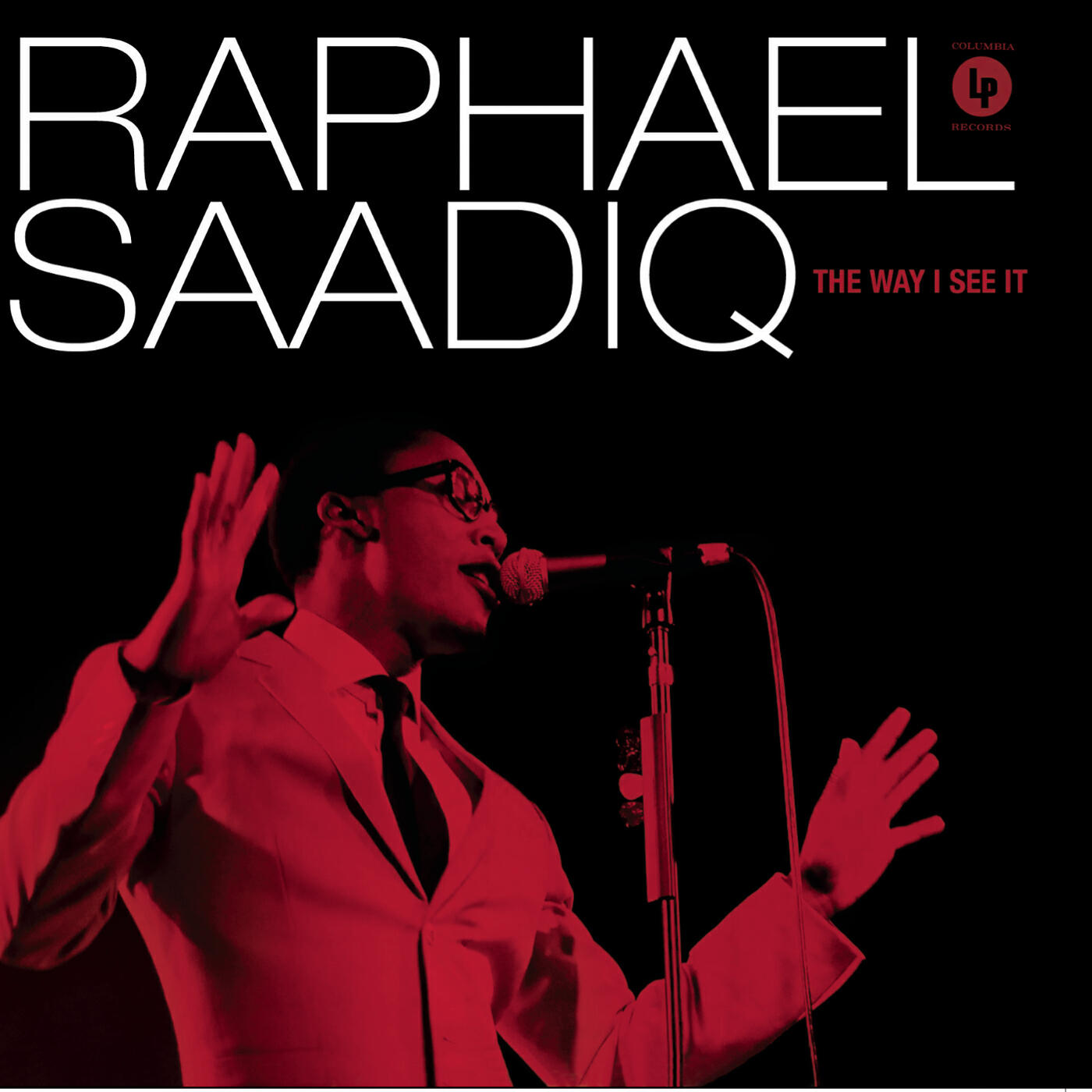 Raphael Saadiq - Never Give You Up (Album Version)
