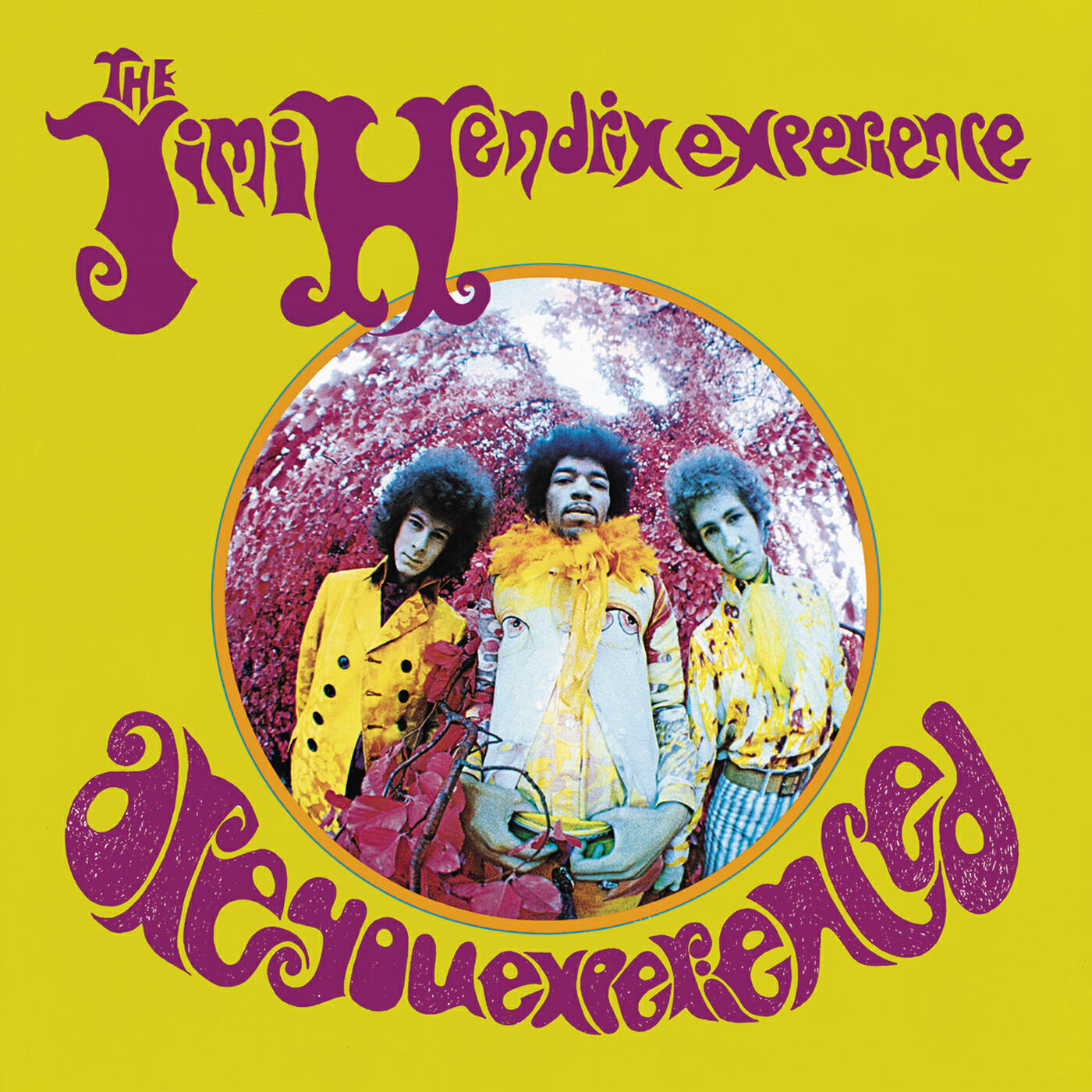 The Jimi Hendrix Experience - The Wind Cries Mary