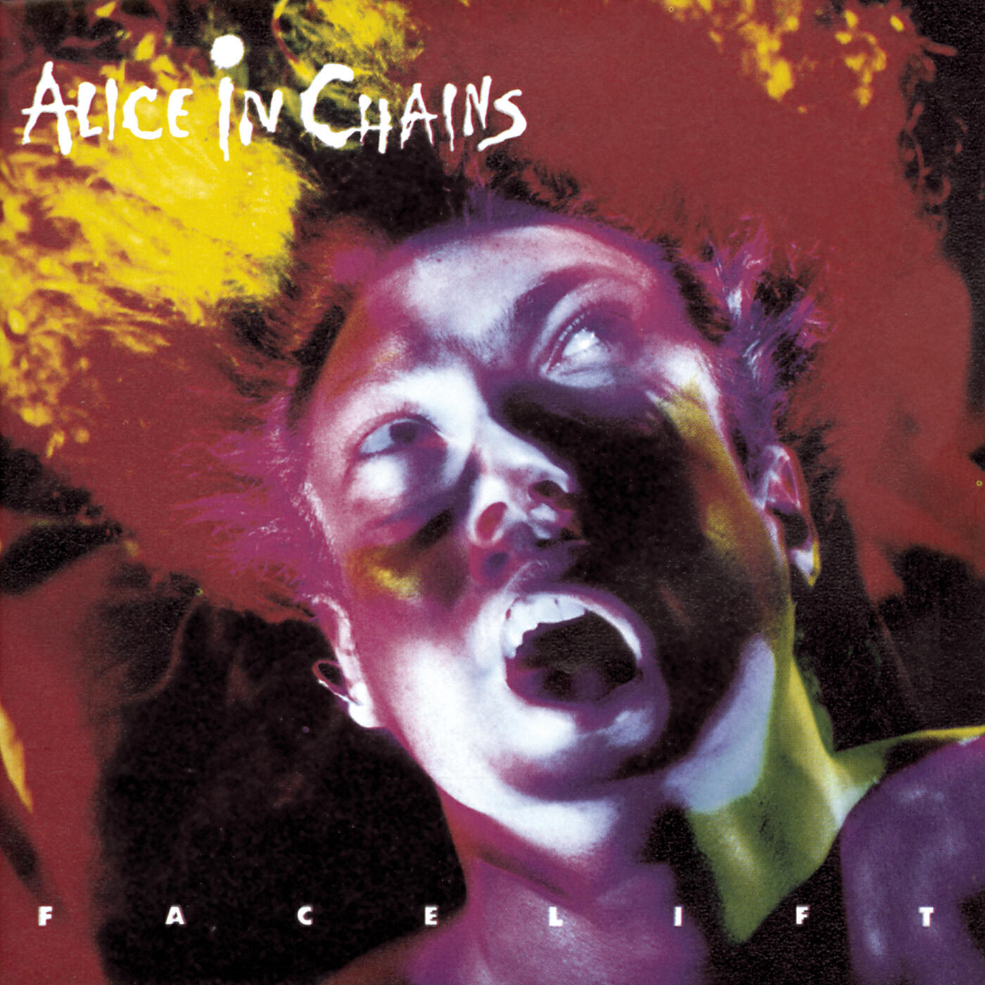 Alice In Chains - We Die Young