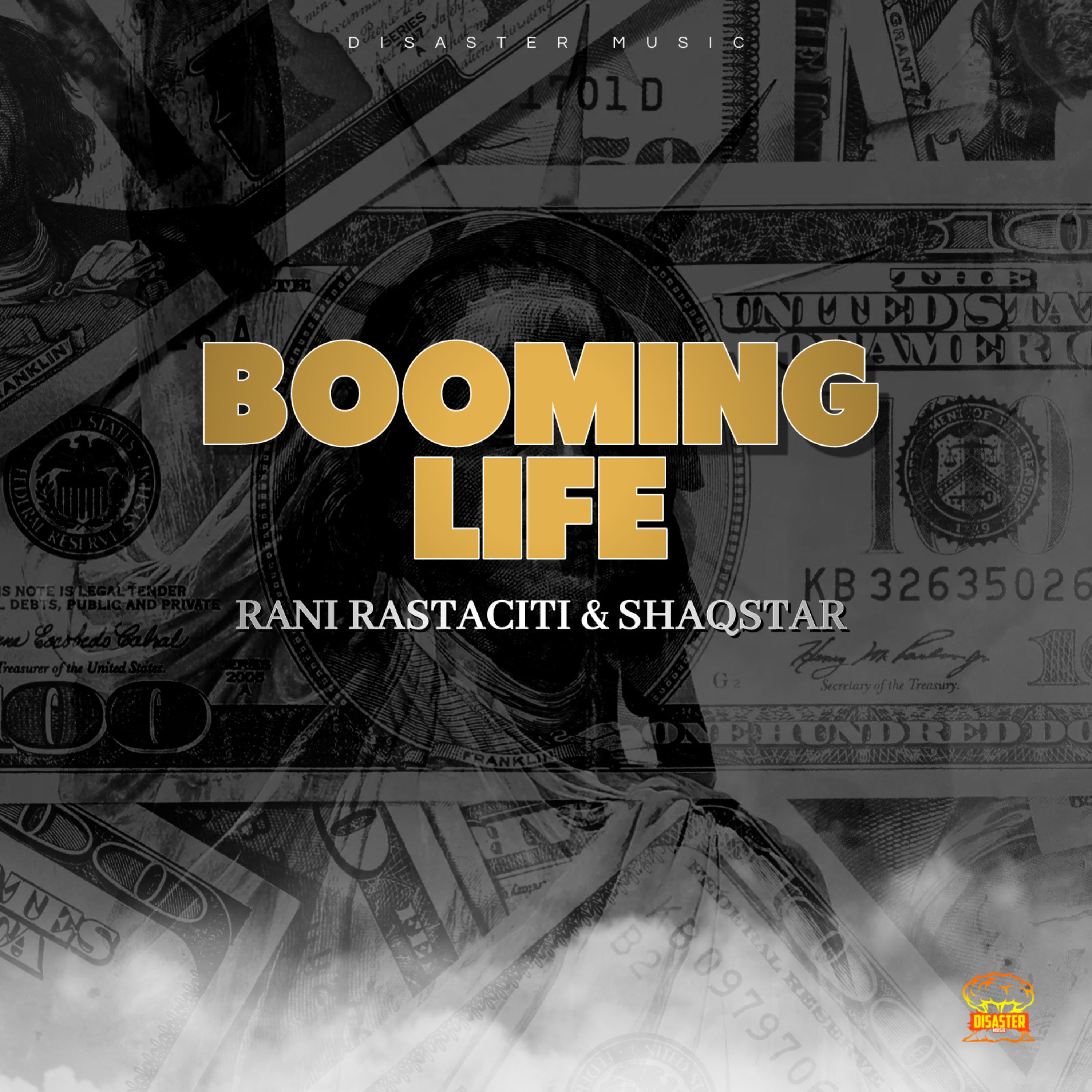 Постер альбома Booming Life