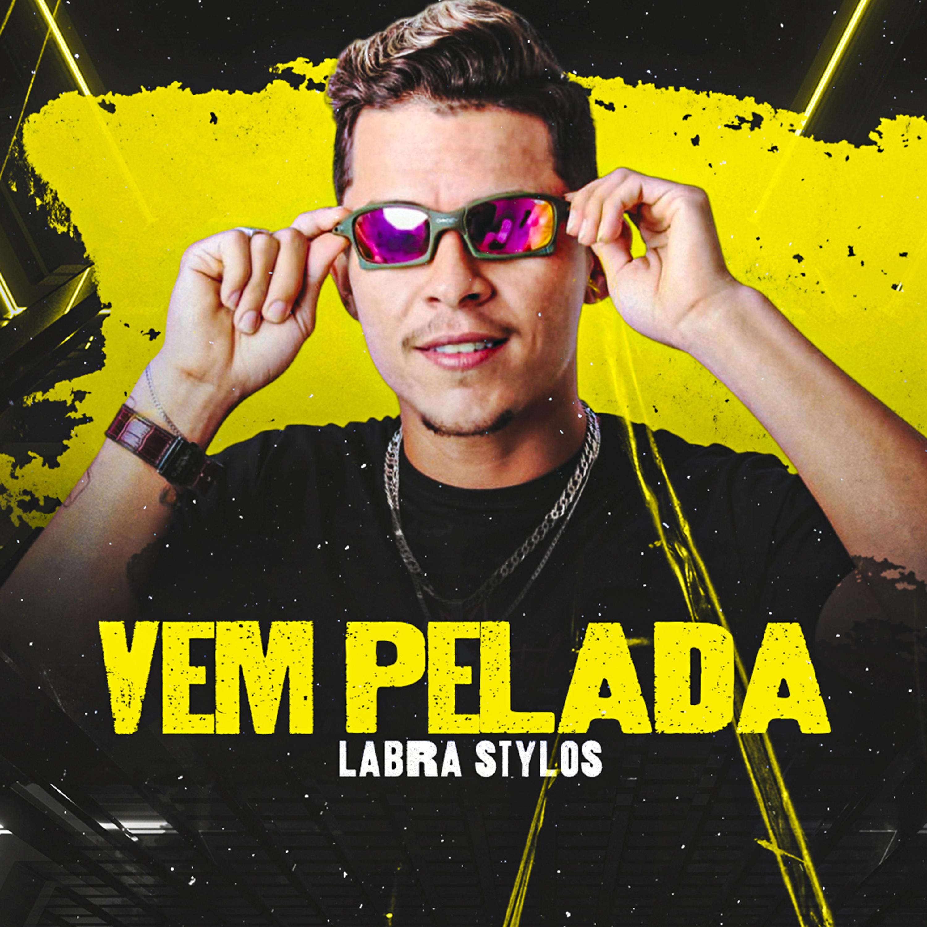 Постер альбома Vem Pelada