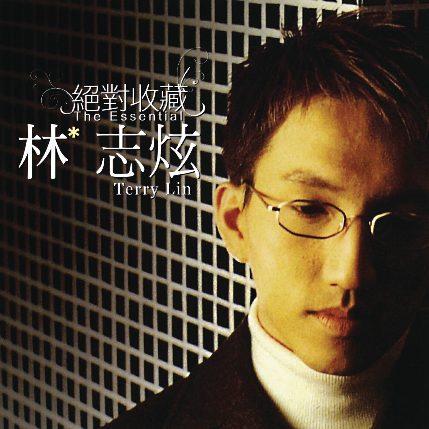 Terry Lin - Dan Shen Qing Ge (Album Version)
