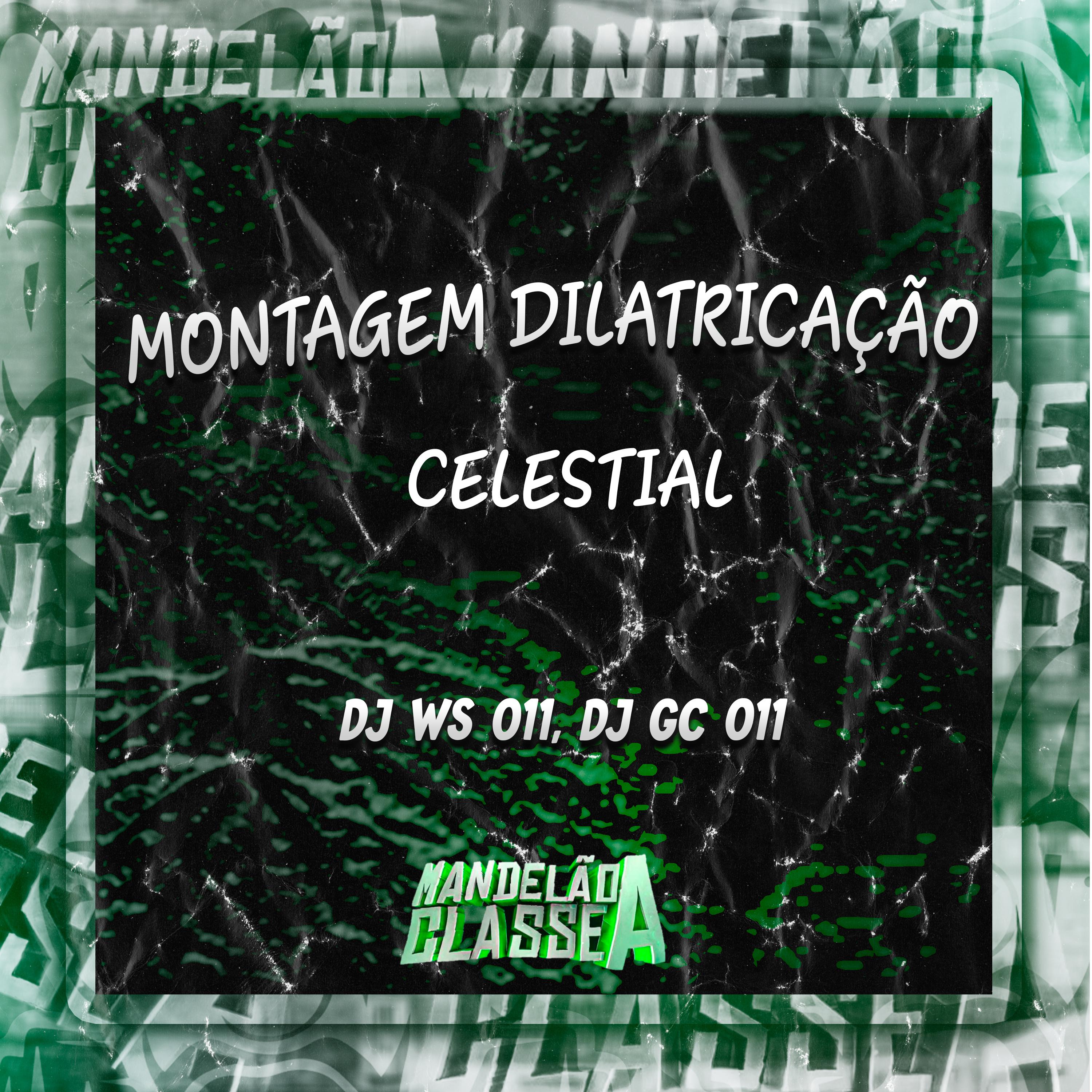 Постер альбома Montagem Dilatricação Celestial