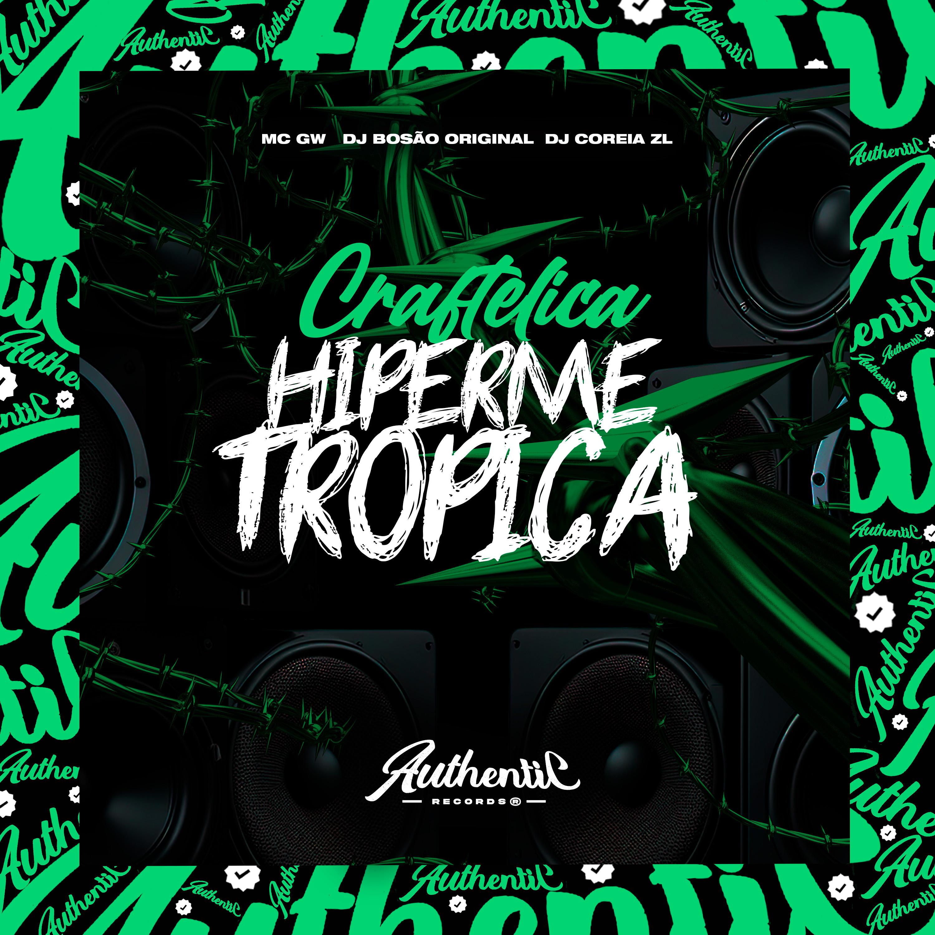 Постер альбома Craftelica Hipermetropica