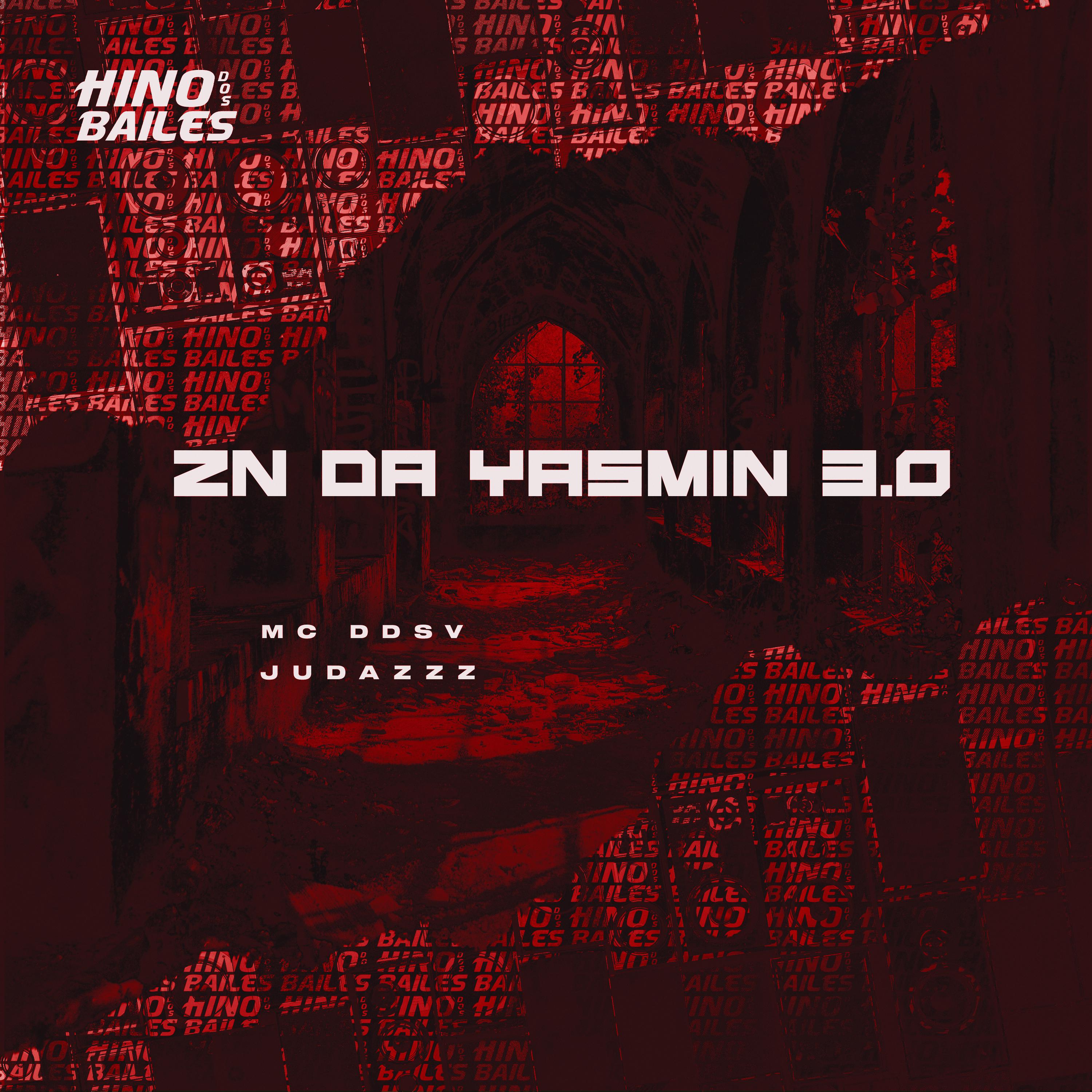 Постер альбома Zn da Yasmin 3.0
