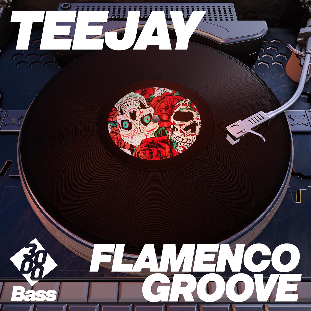 Постер альбома Flamenco Groove