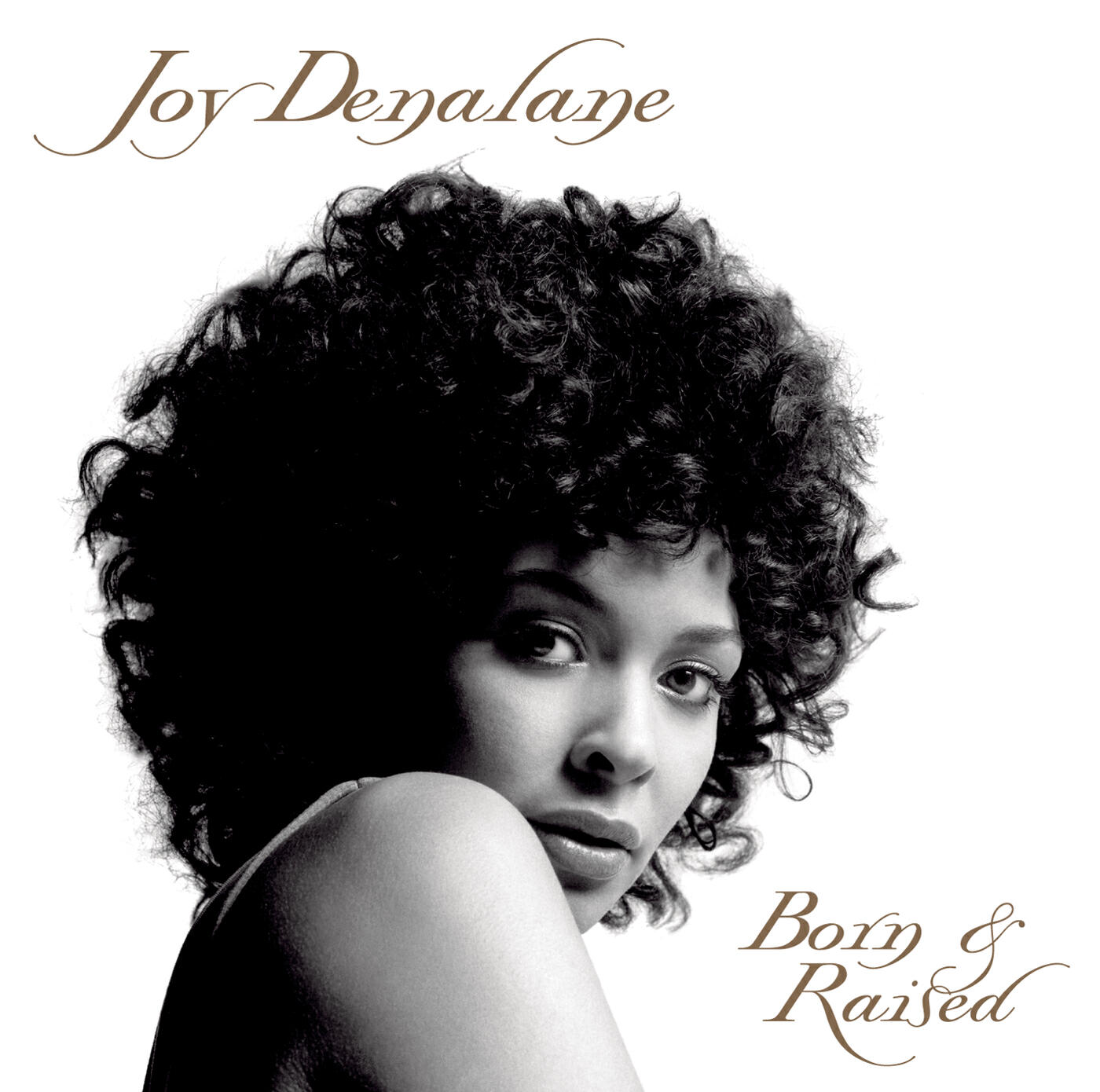 Joy Denalane - Stranger In This Land (Album Version)
