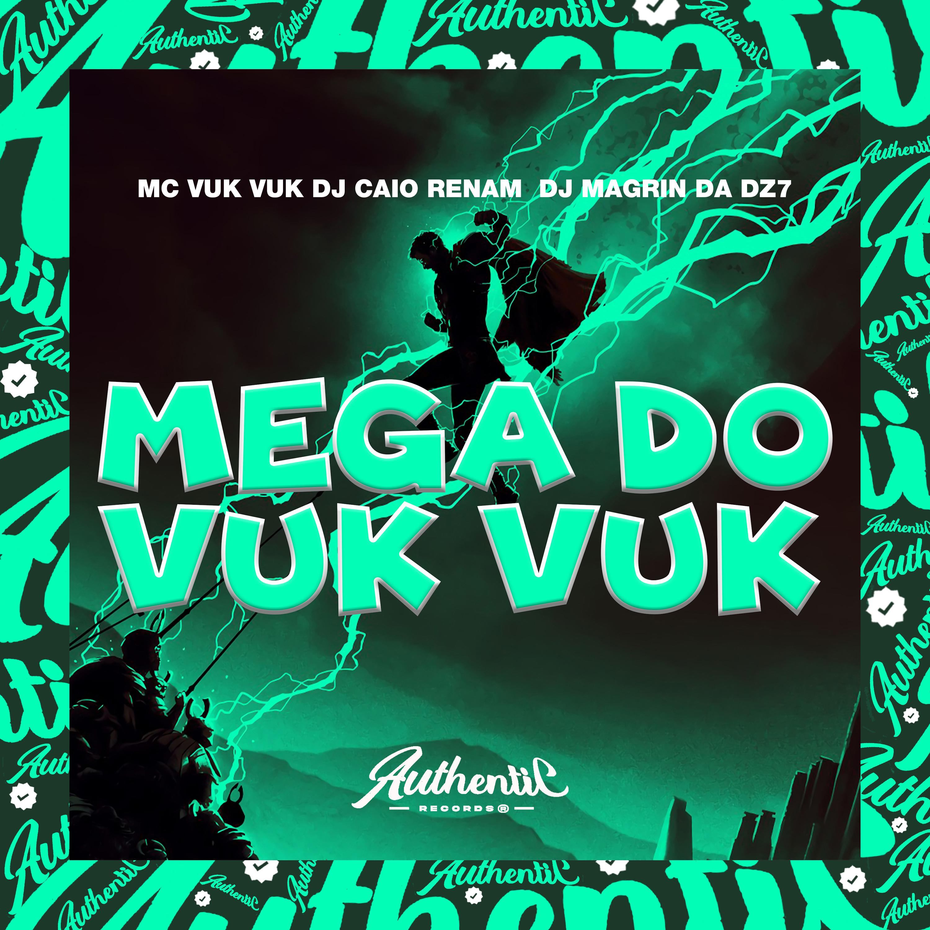 Постер альбома Mega do Vuk Vuk