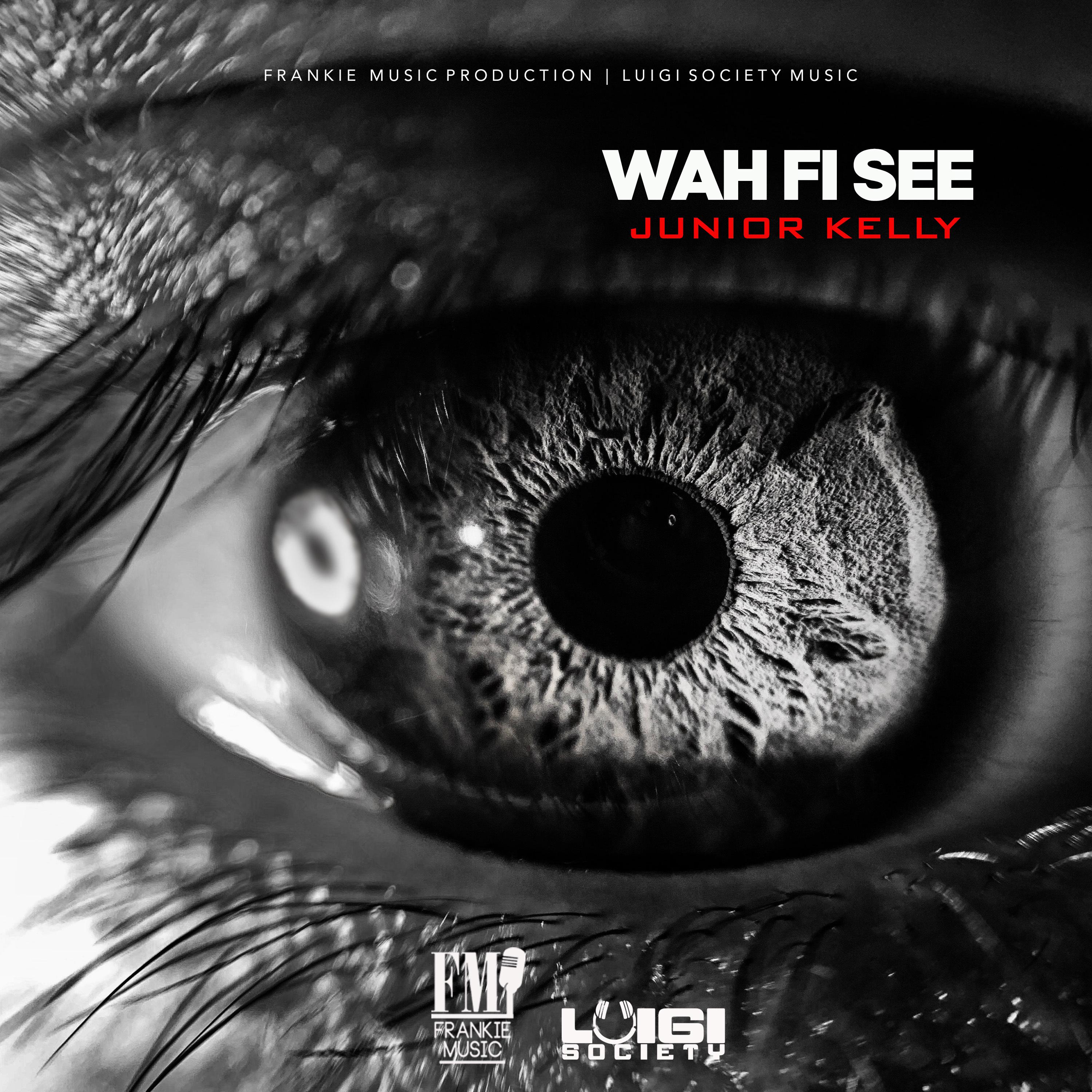 Постер альбома Wah Fi See