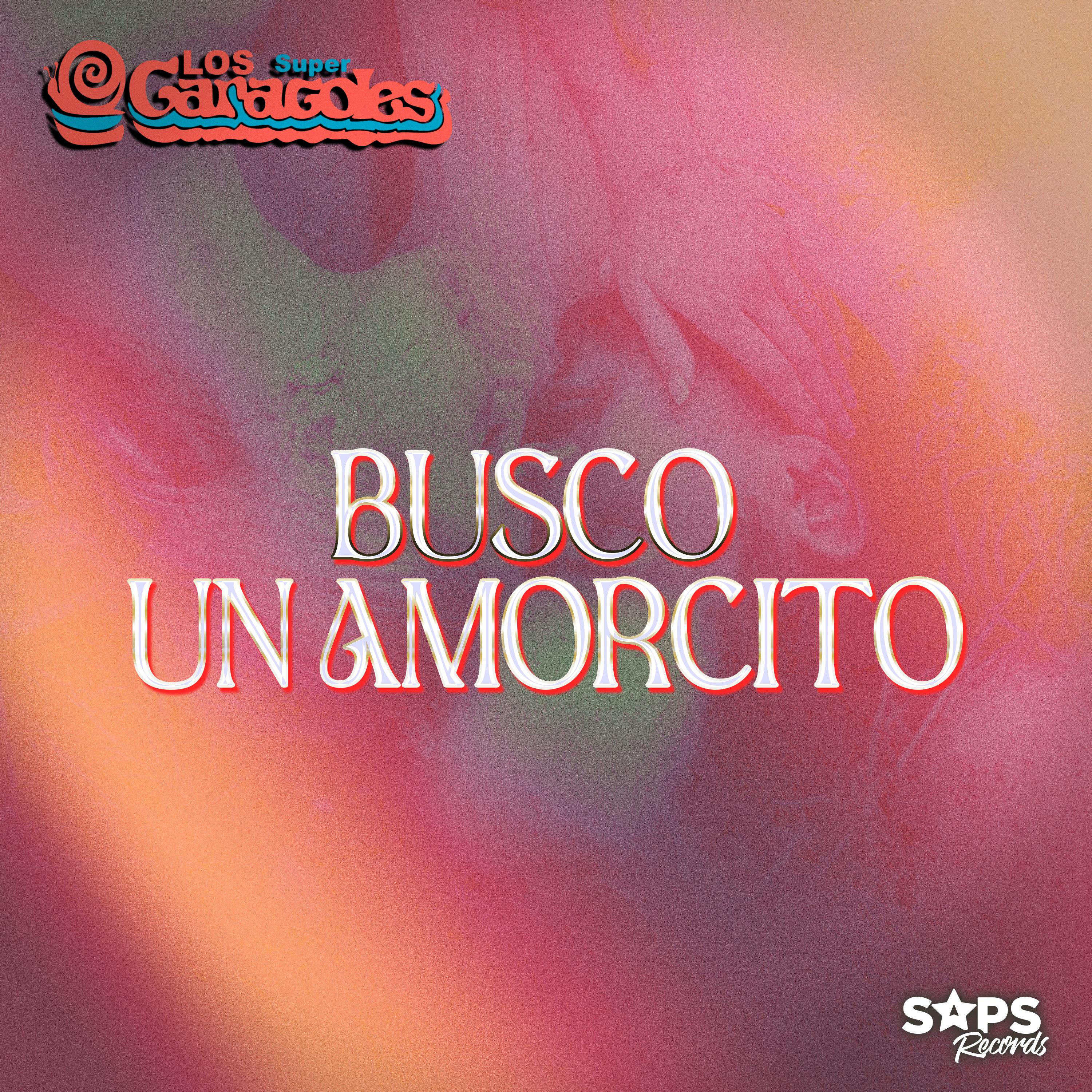 Постер альбома Busco un Amorcito
