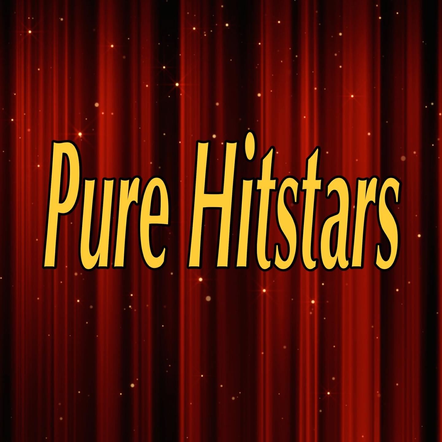 Pure Hitstars - House Every Weekend (Tribute to David Zowie)
