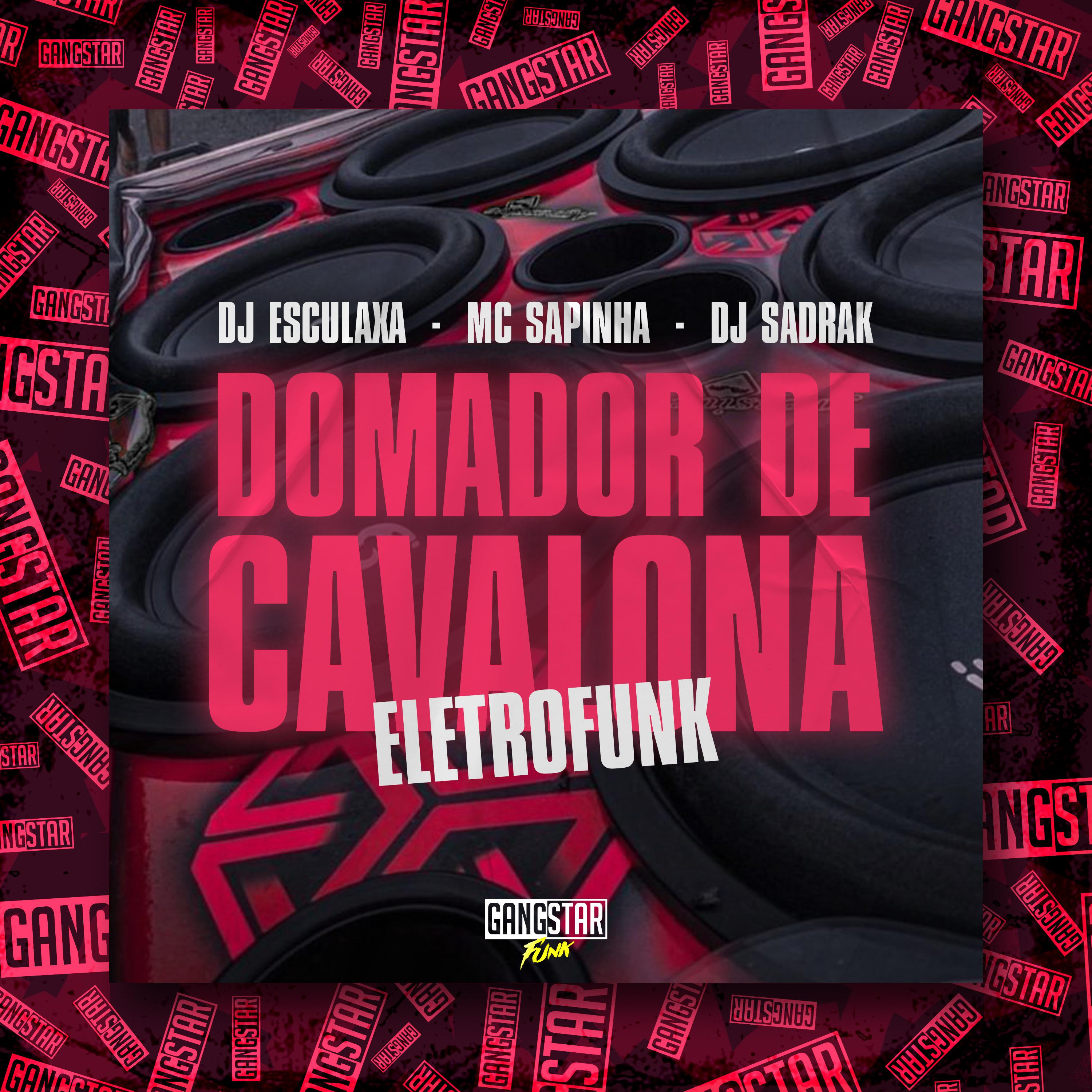 Постер альбома Domador de Cavalona (Eletrofunk)