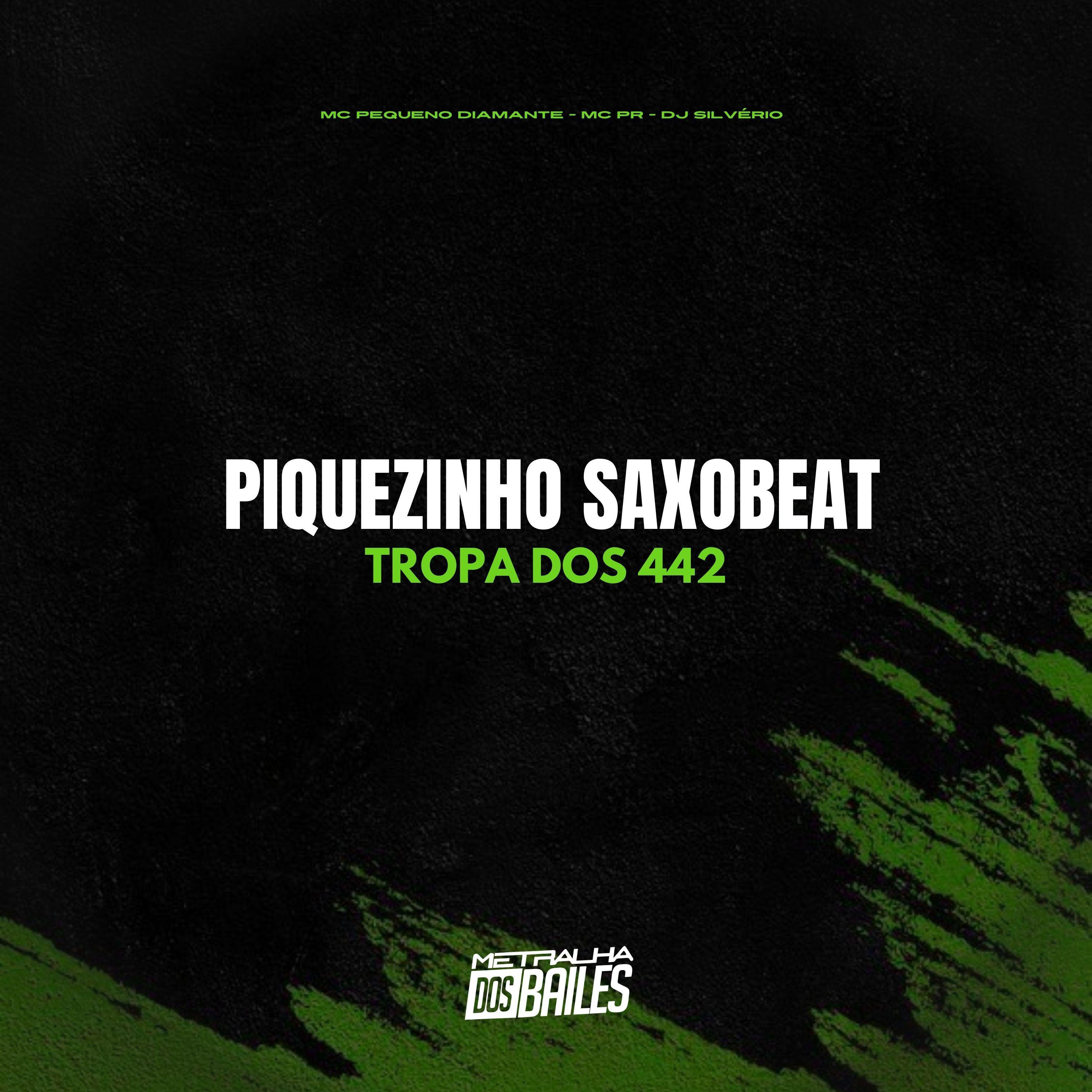 Постер альбома Piquezinho Saxobeat, Tropa dos 442