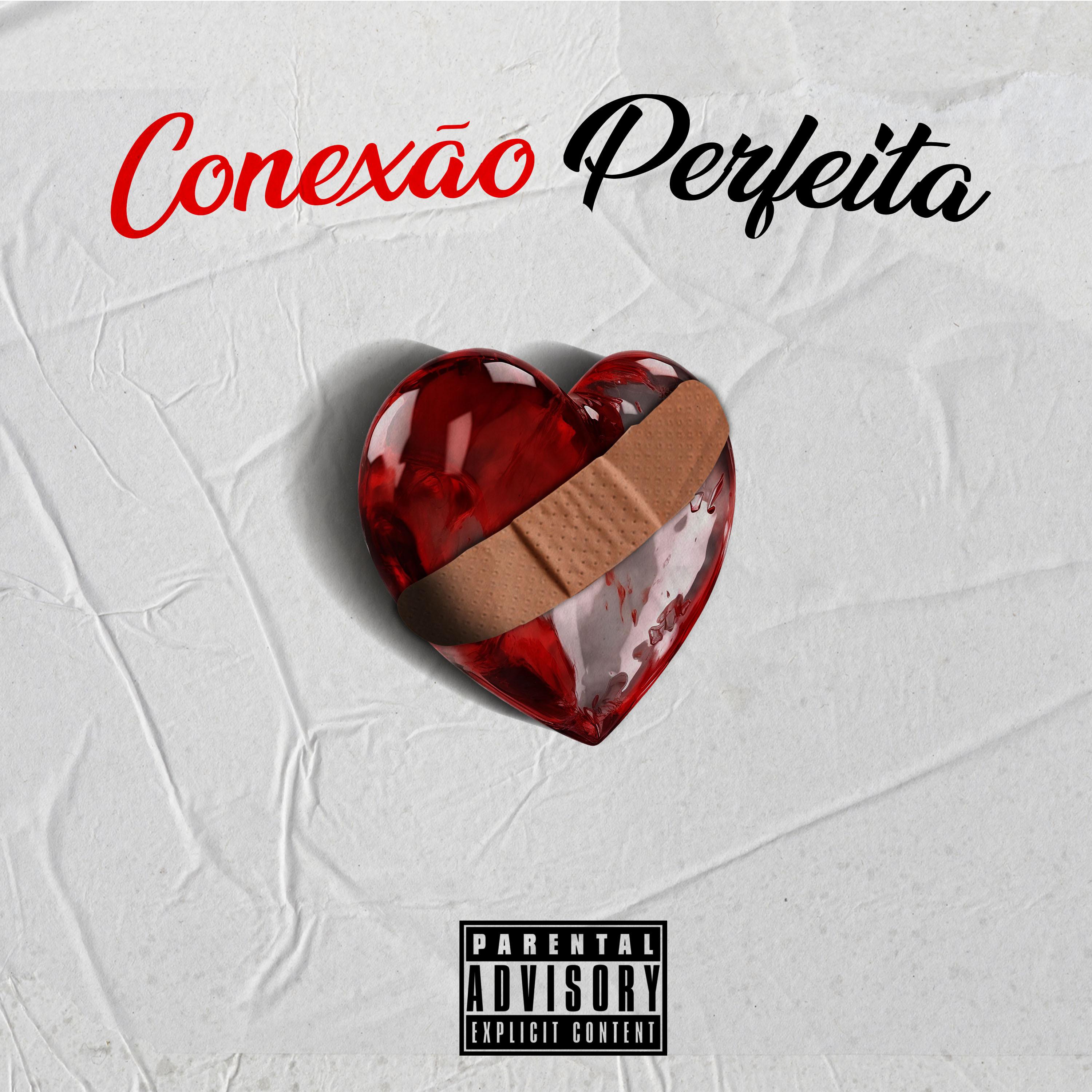 Постер альбома Conexão Perfeita