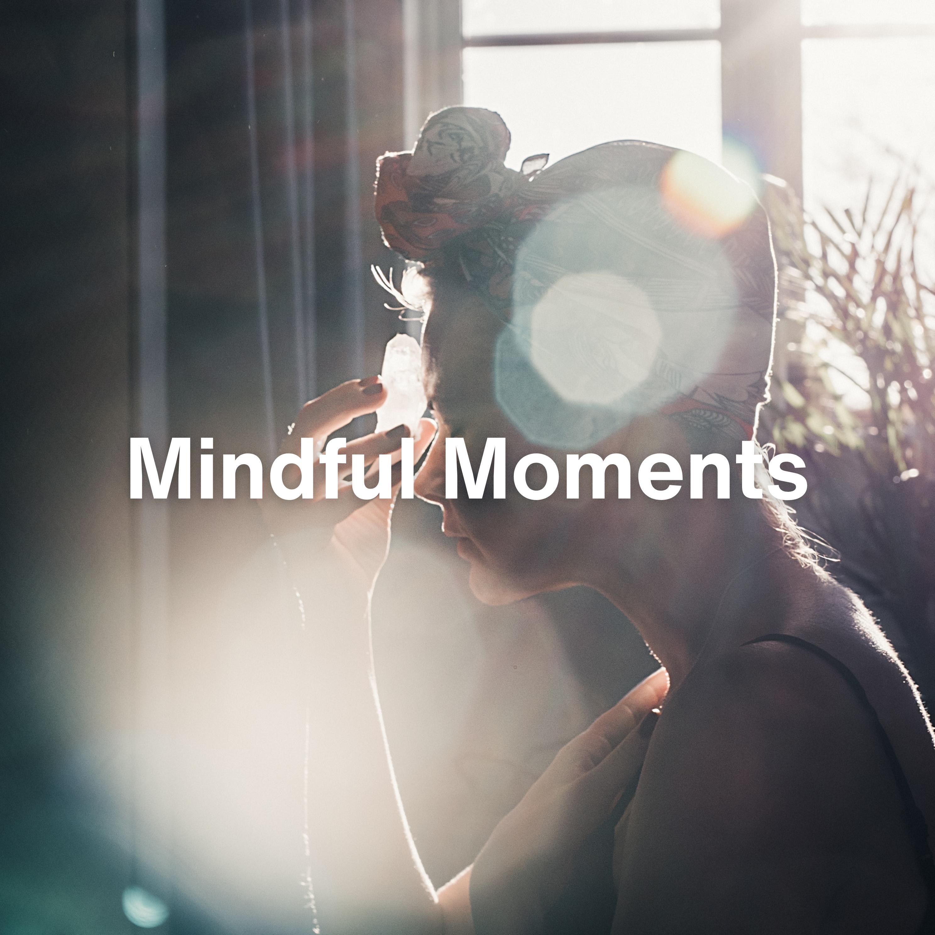 Постер альбома Mindful Moments