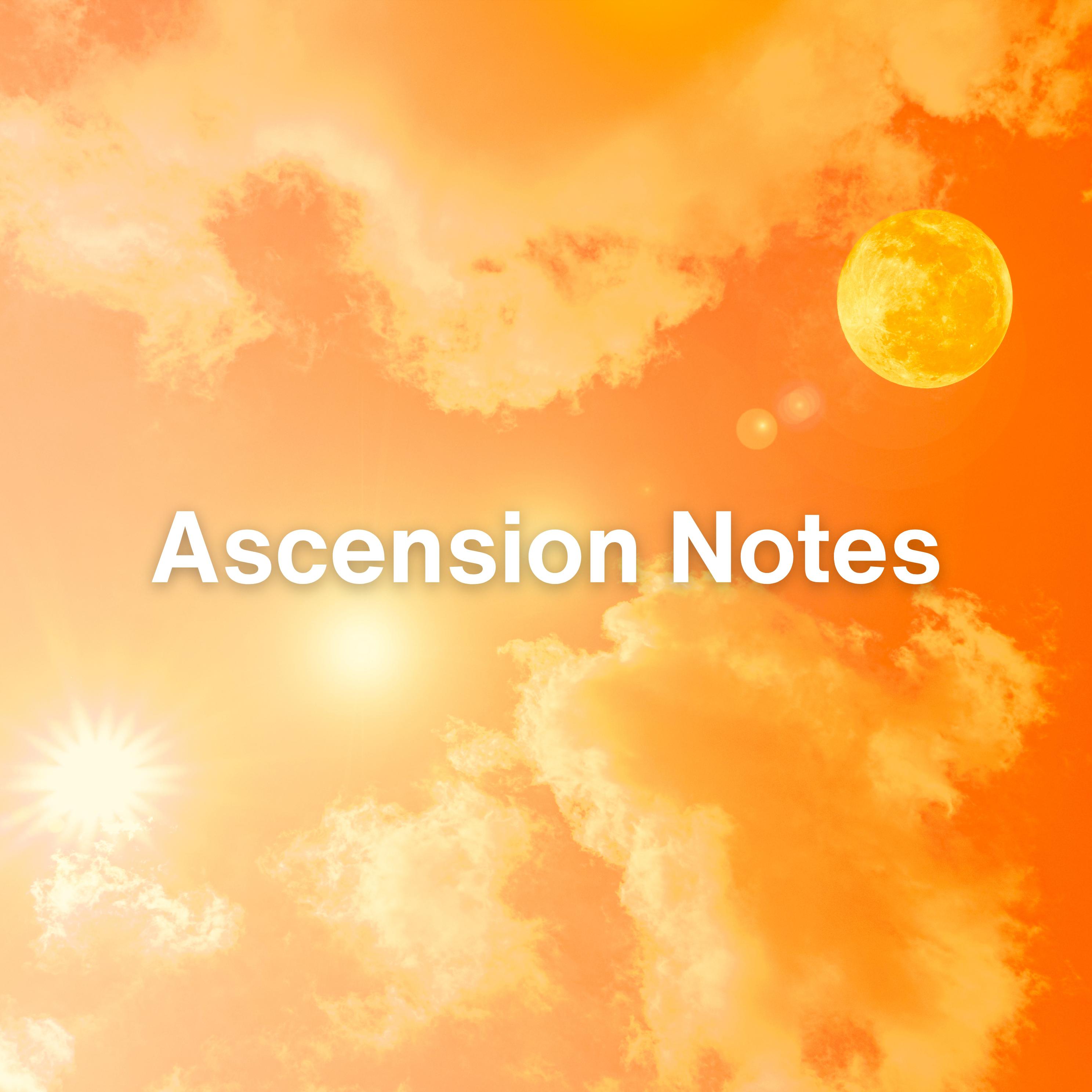 Постер альбома Ascension Notes