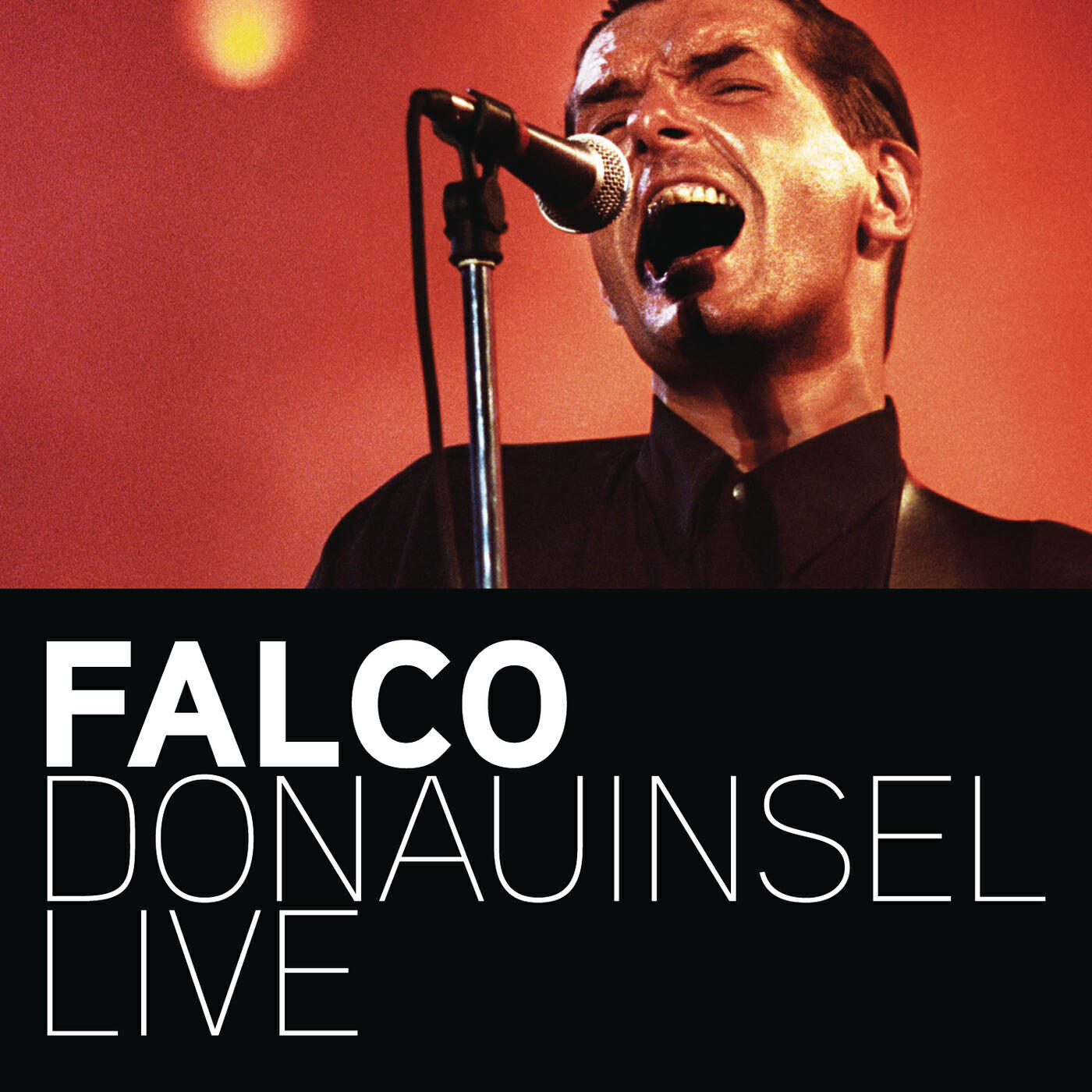 Falco - Junge Roemer (Donauinsel Live)