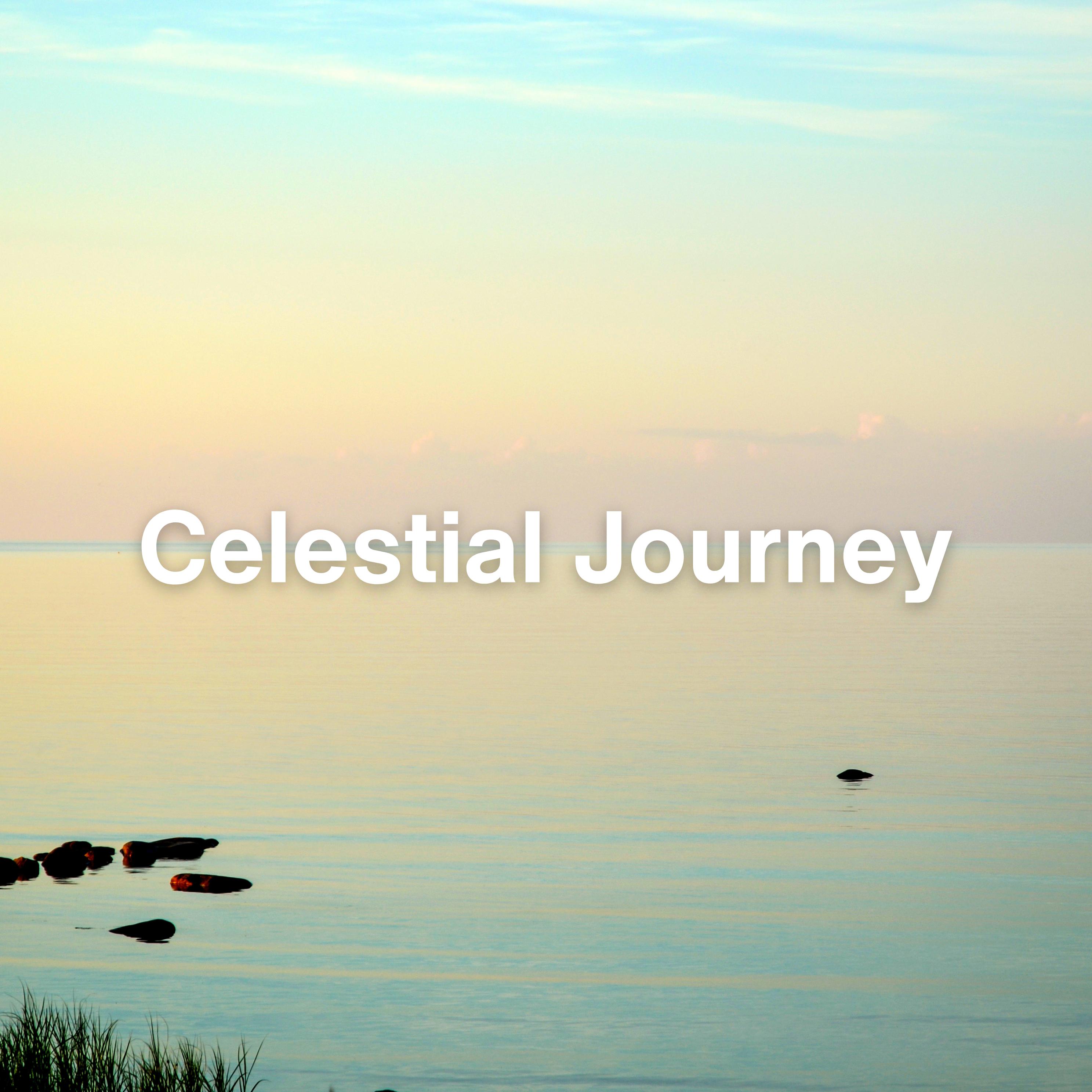Постер альбома Celestial Journey