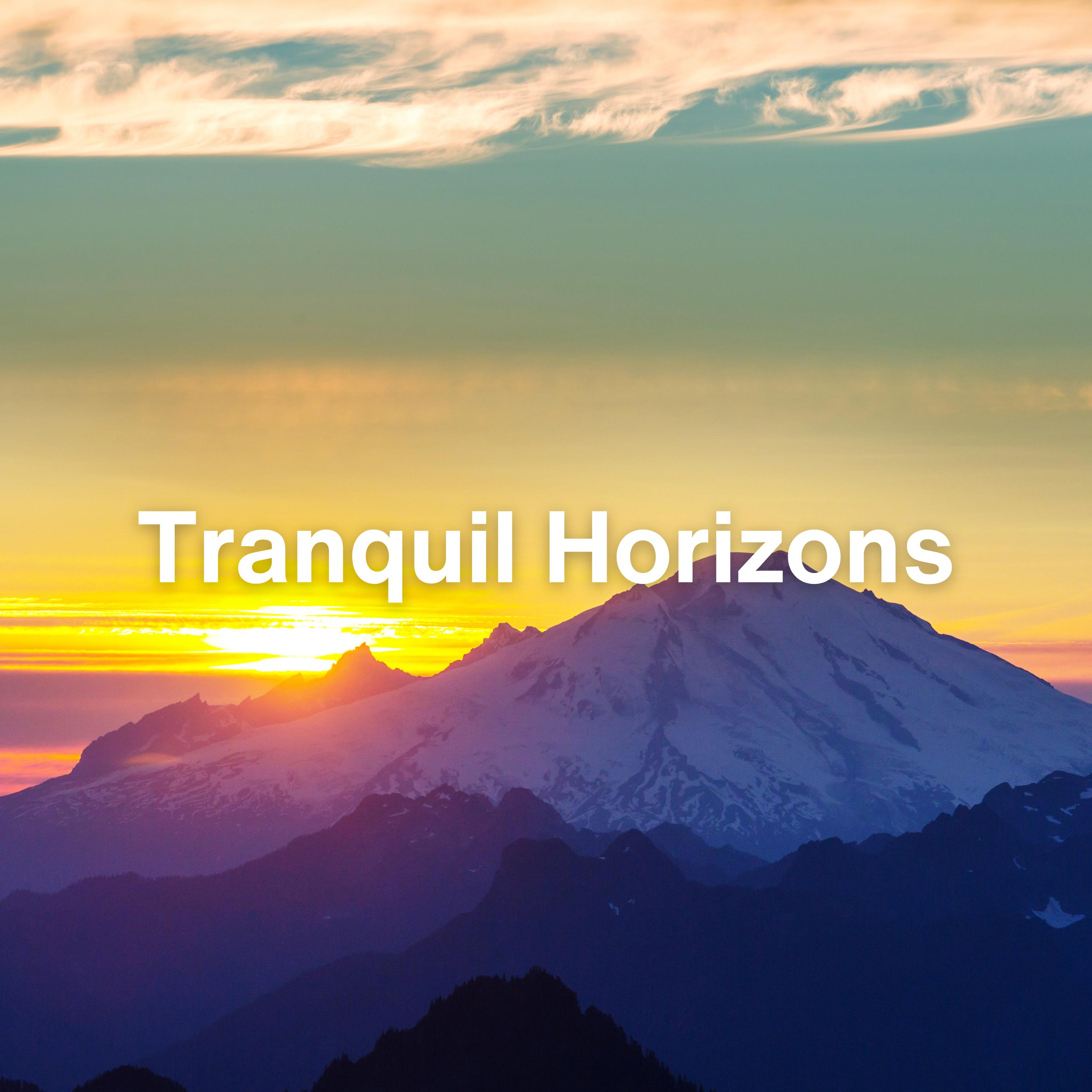 Постер альбома Tranquil Horizons