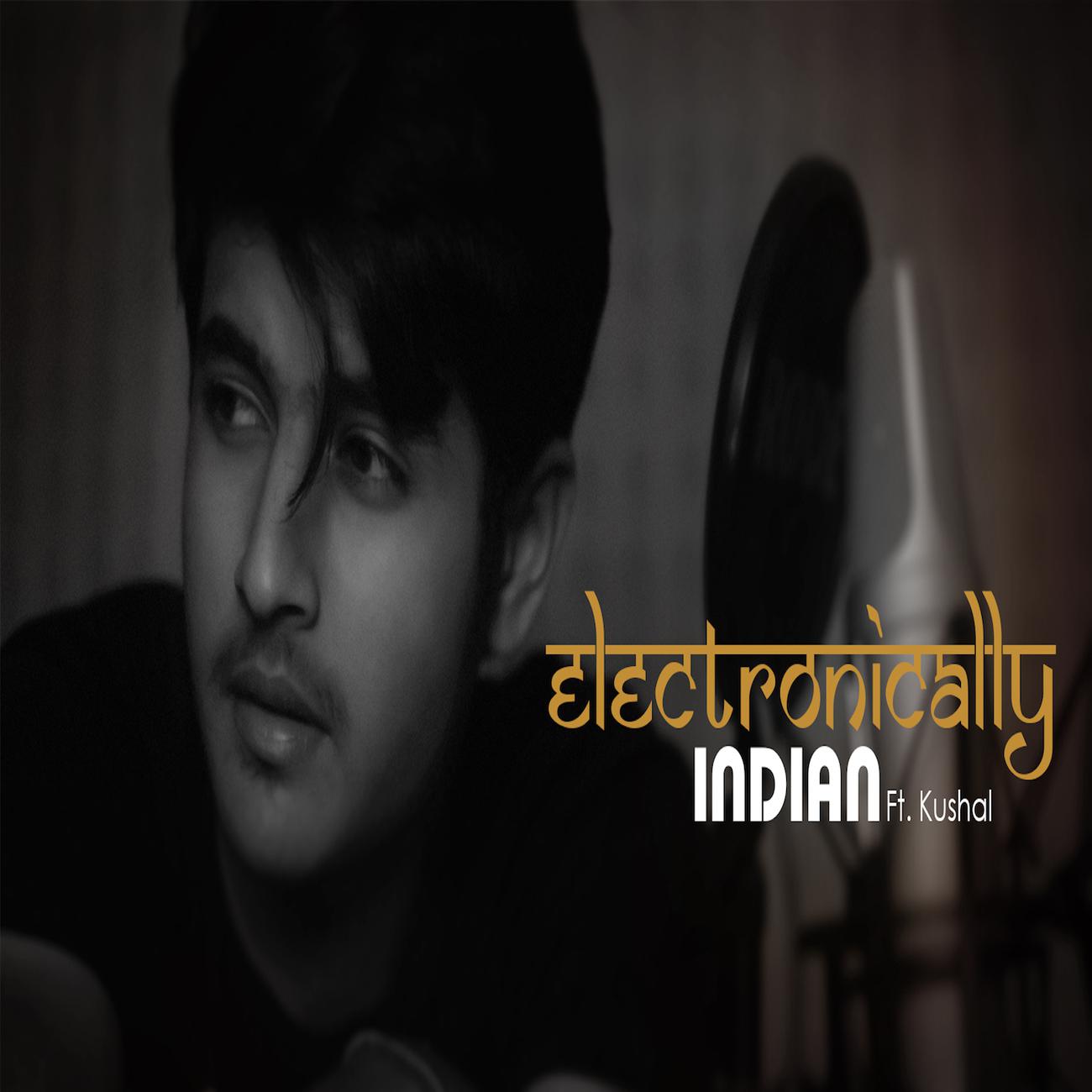 Постер альбома Electronically Indian