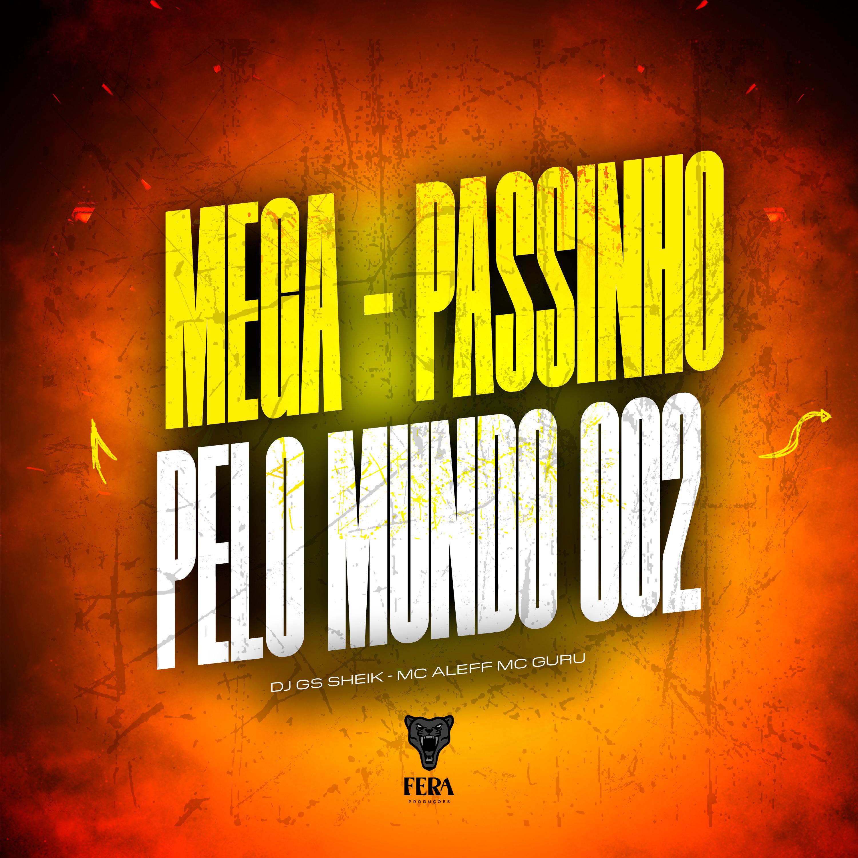 Постер альбома Mega Passinho pelo Mundo 002