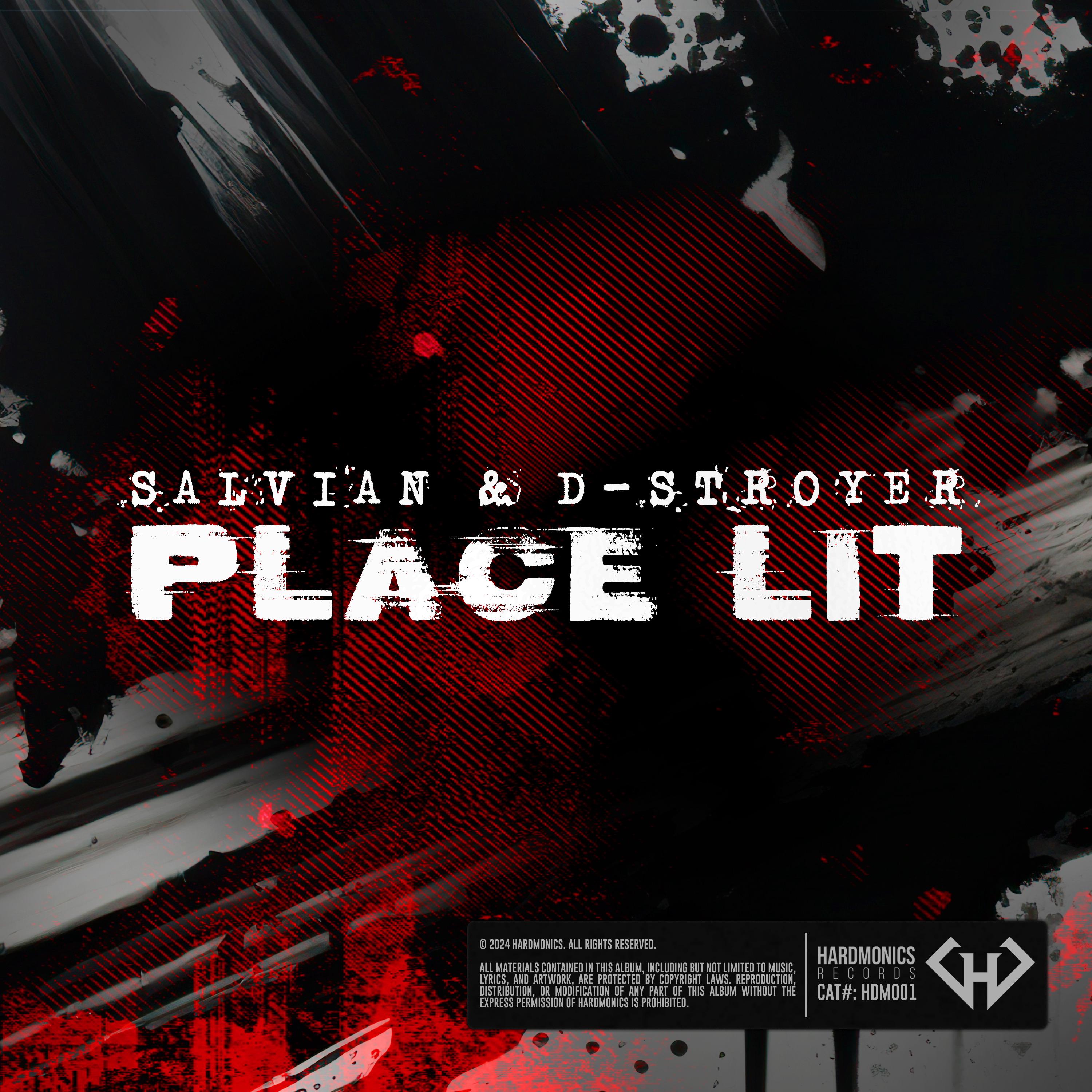 Постер альбома Place Lit