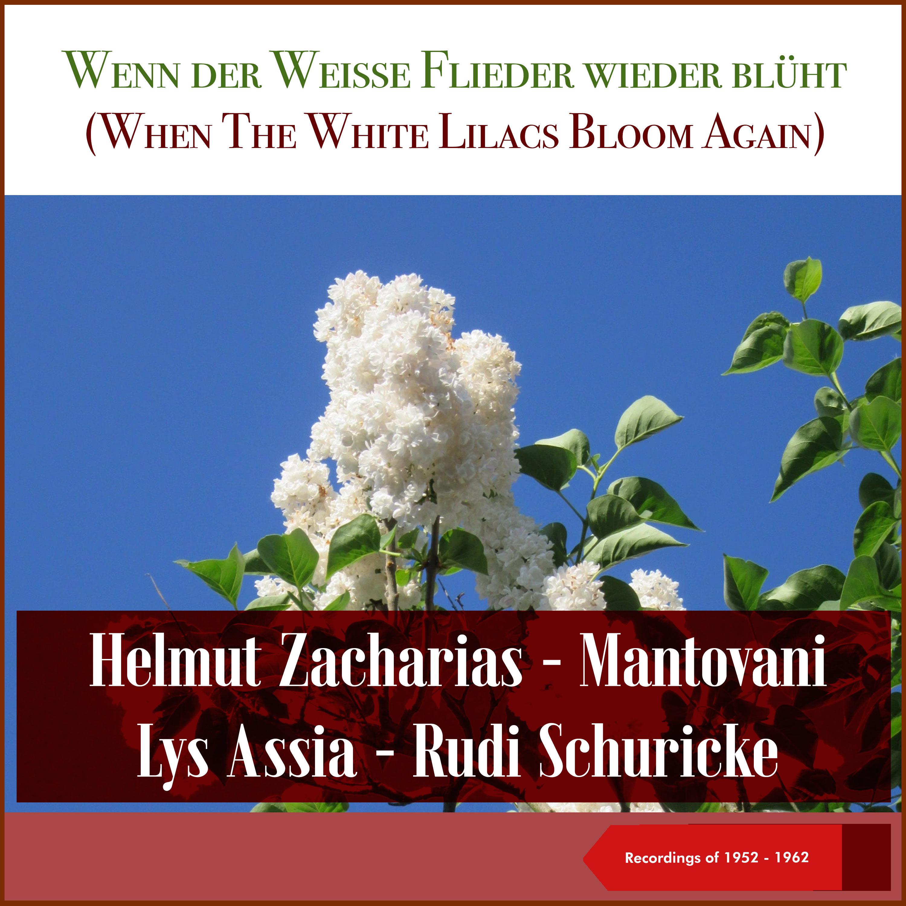 Постер альбома Wenn der Weisse Flieder wieder blüht (When The White Lilacs Bloom Again)