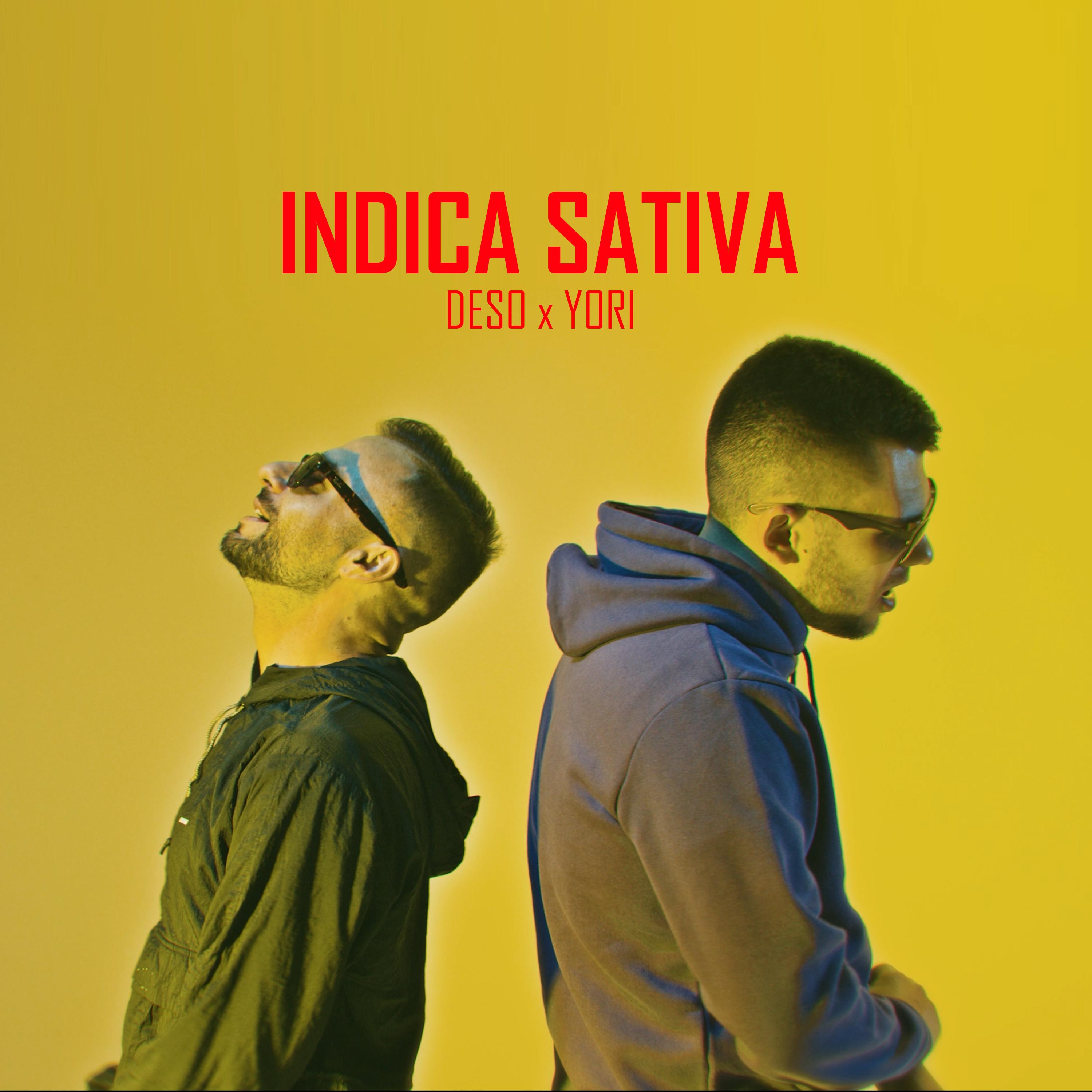 Постер альбома Indica Sativa