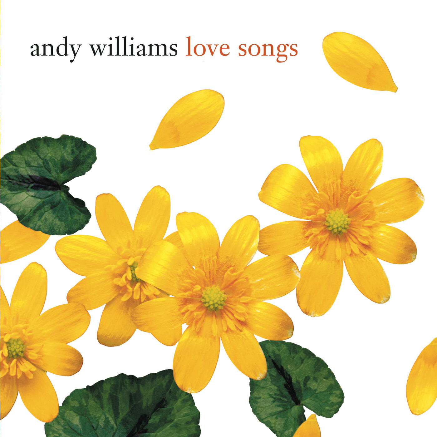 Andy Williams - Where Do I Begin (Love Theme from 