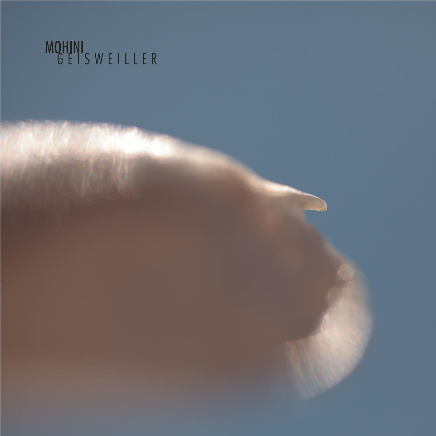 Mohini Geisweiller - Milk Teeth (Poni Hoax Remix)