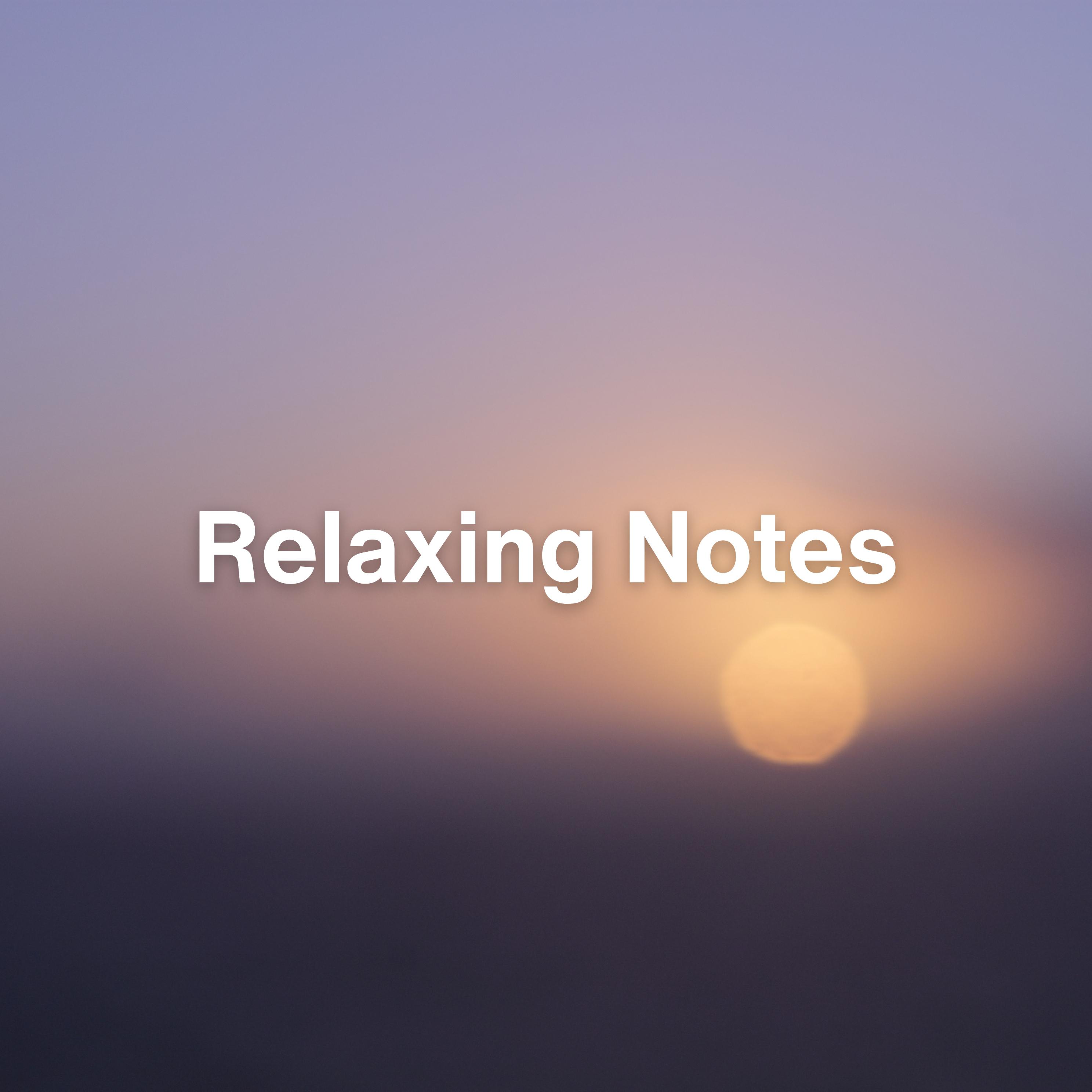 Постер альбома Relaxing Notes