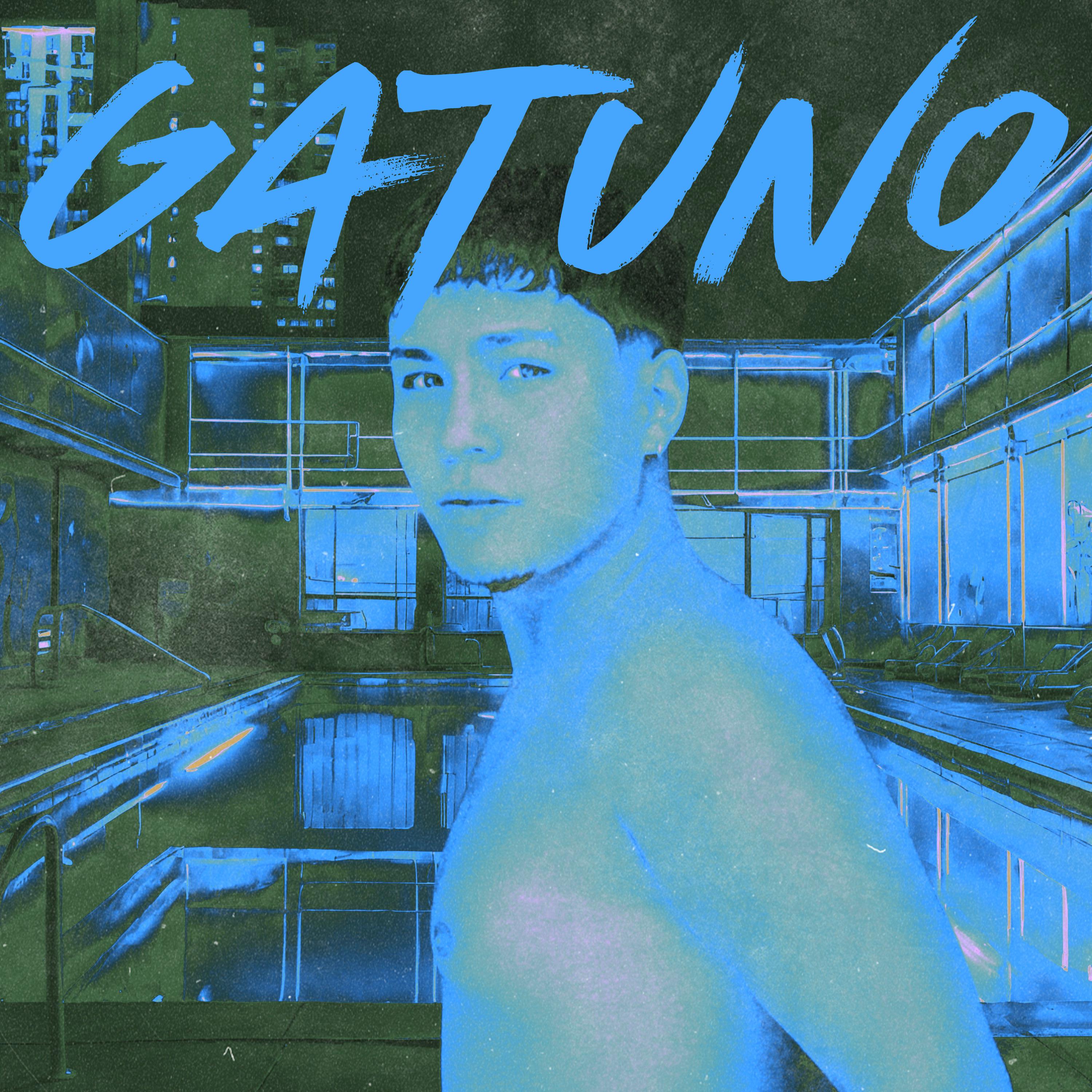 Постер альбома Gatuno