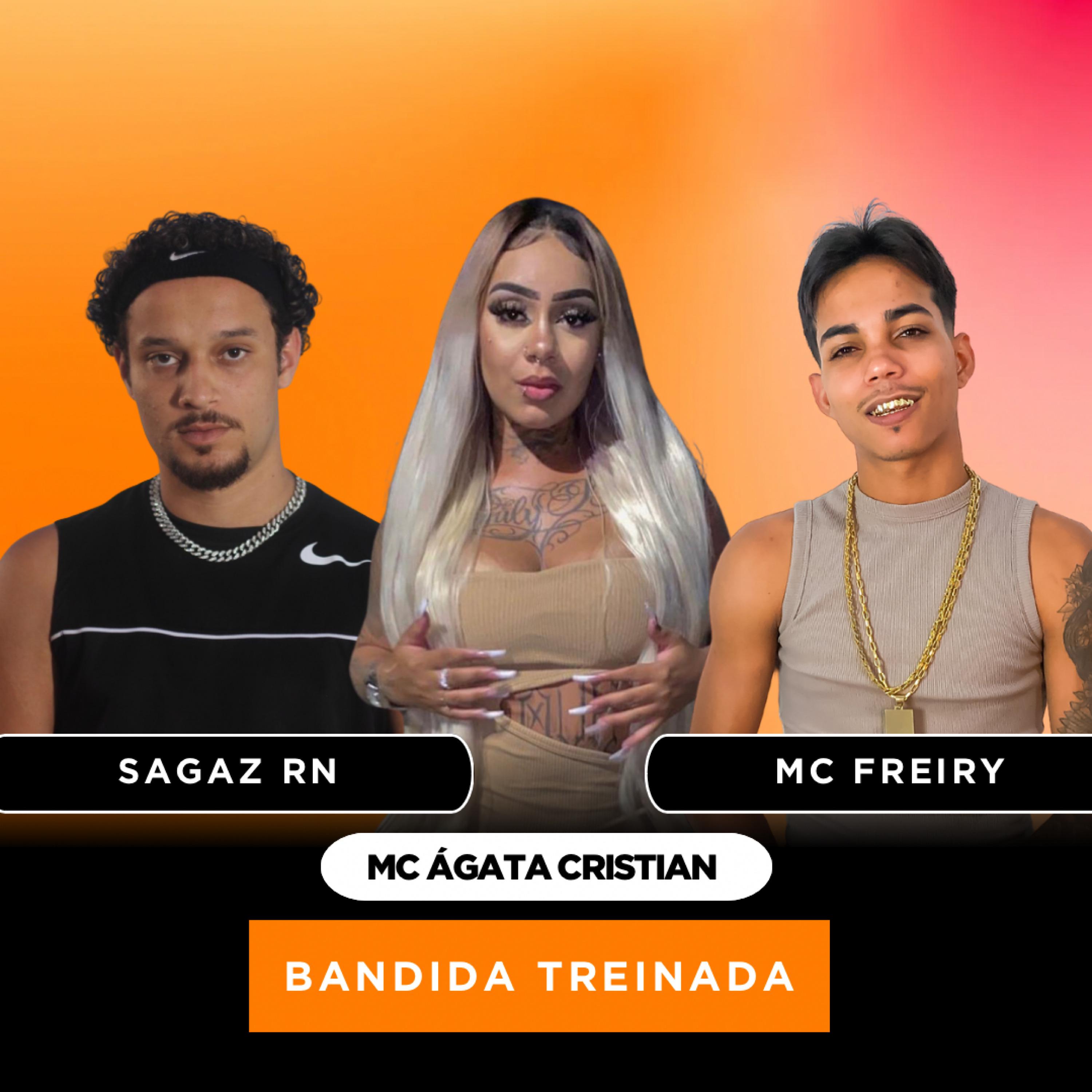 Постер альбома Bandida Treinada