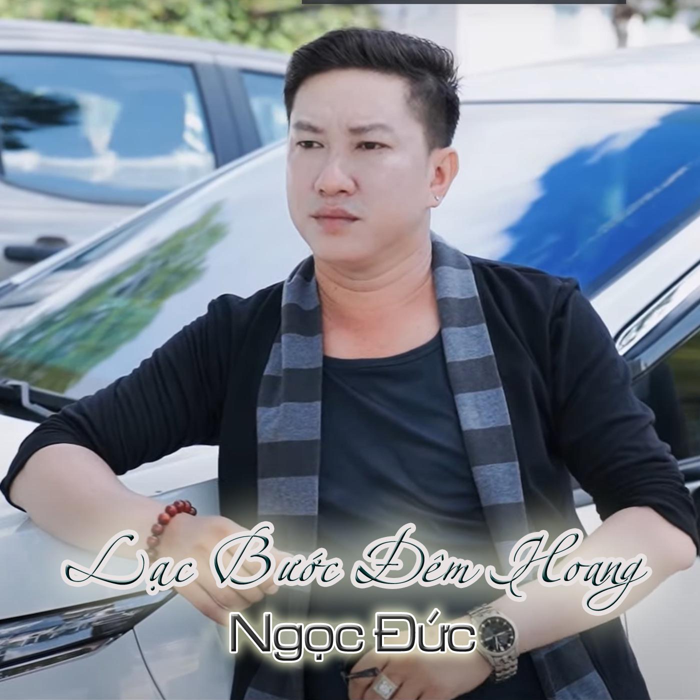 Постер альбома Lạc Bước Đêm Hoang
