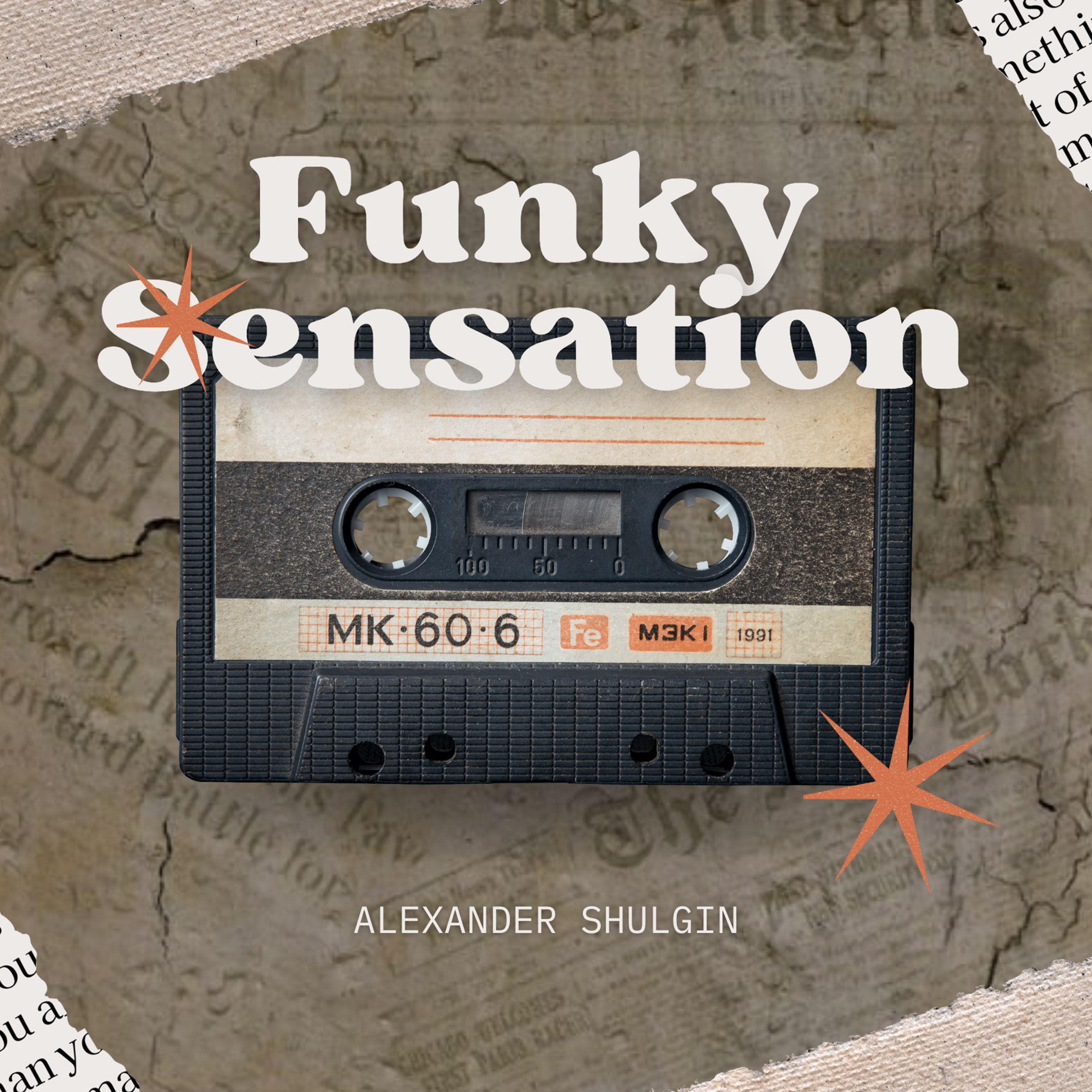Постер альбома Funky Sensations