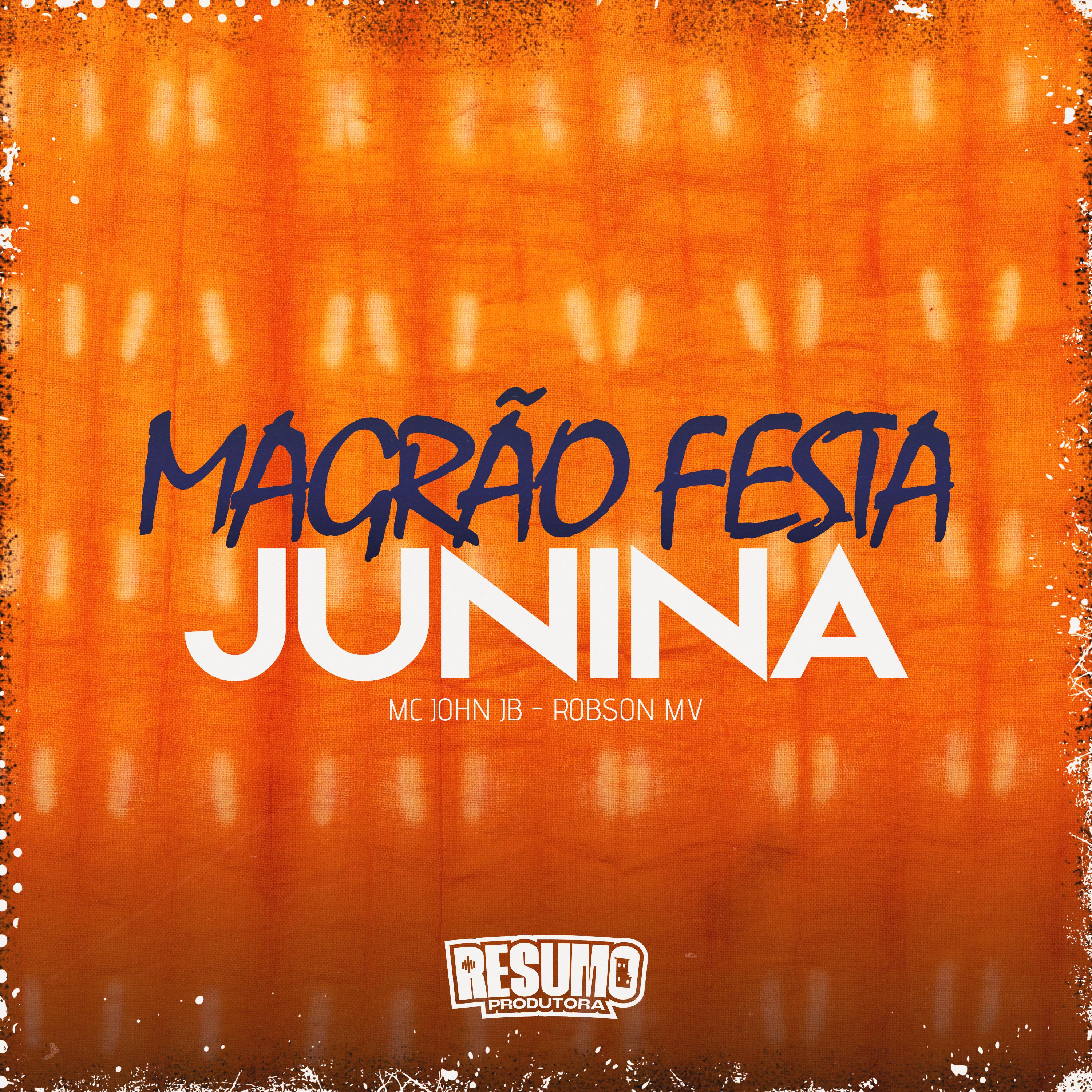 Постер альбома Magrão Festa Junina