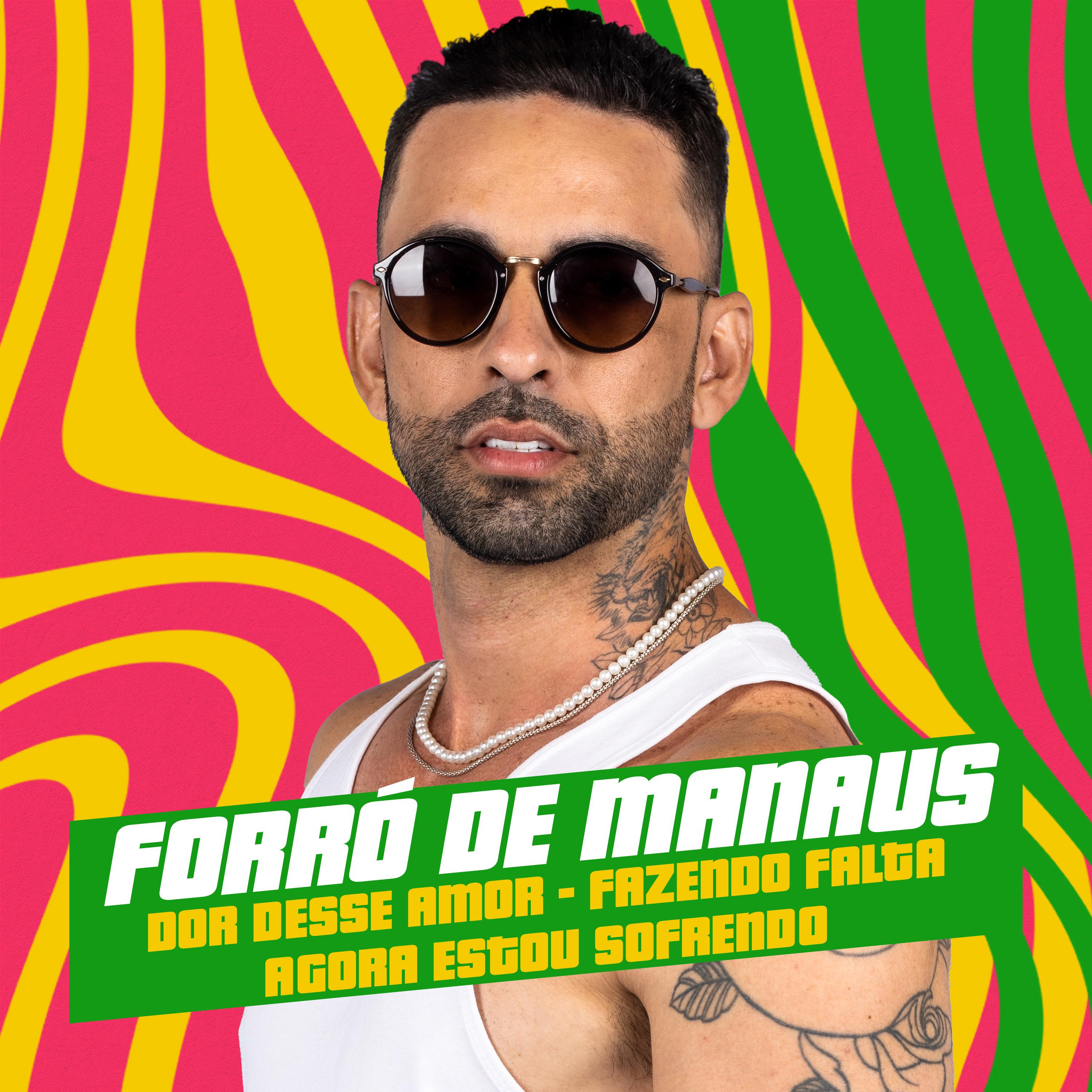 Постер альбома Forró de Manaus Dor Desse Amor / Fazendo Falta / Agora Estou Sofrendo