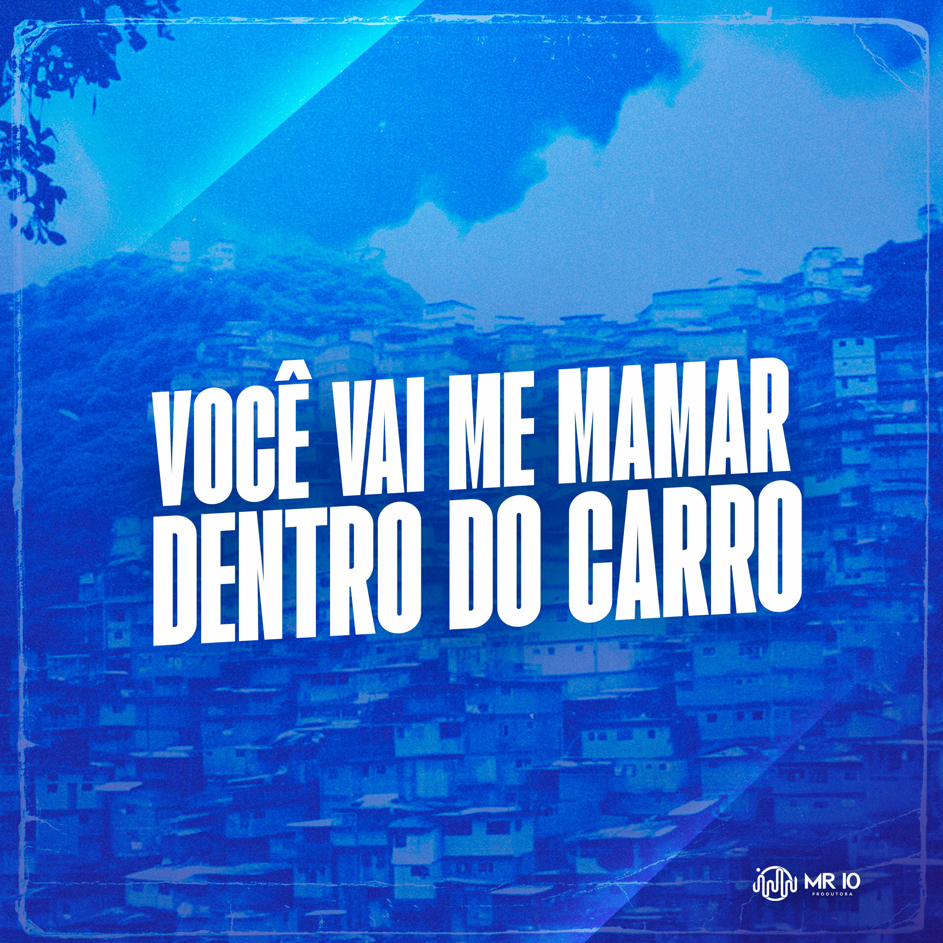 Постер альбома Você Vai Me Mamar Dentro do Carro