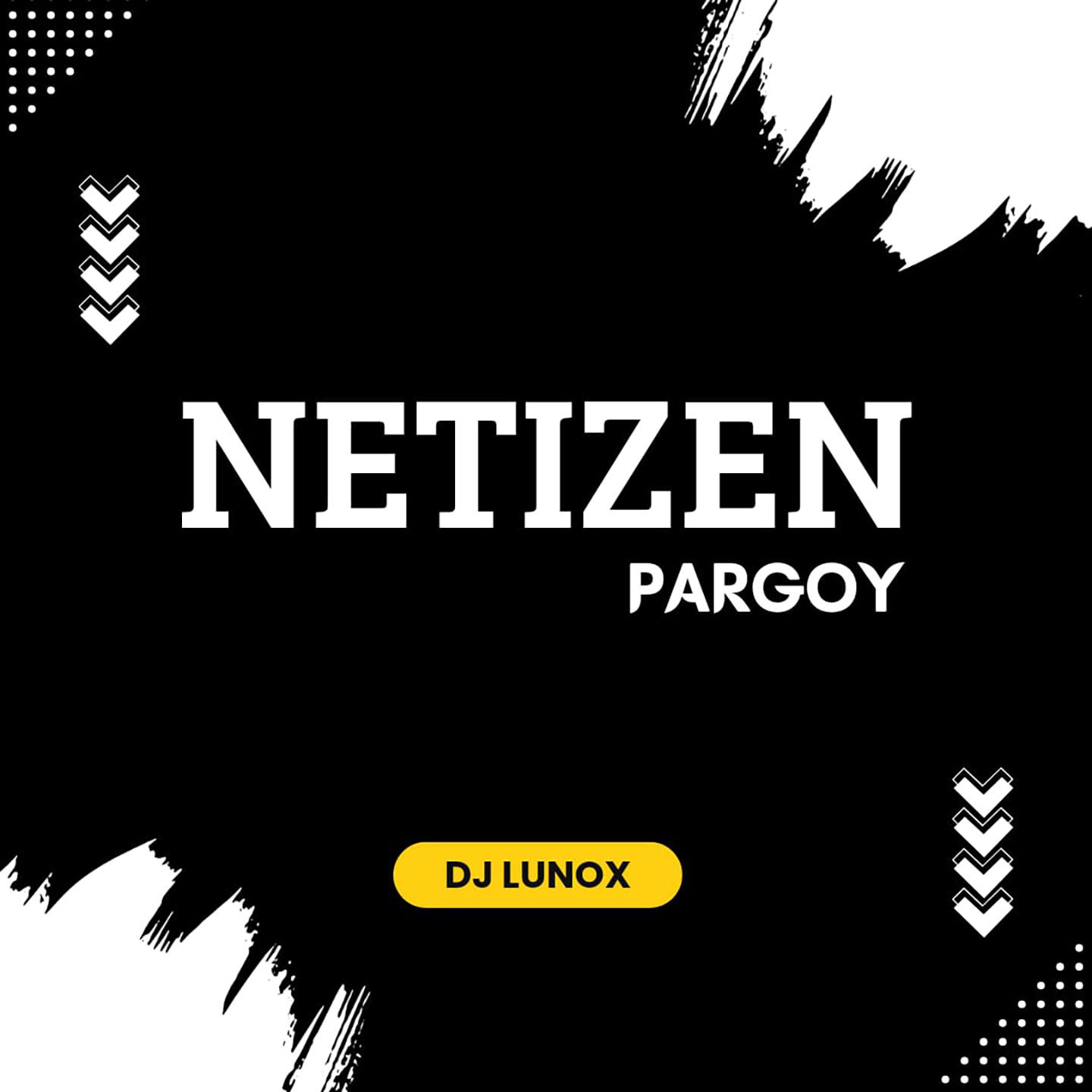 Постер альбома Netizen Pargoy