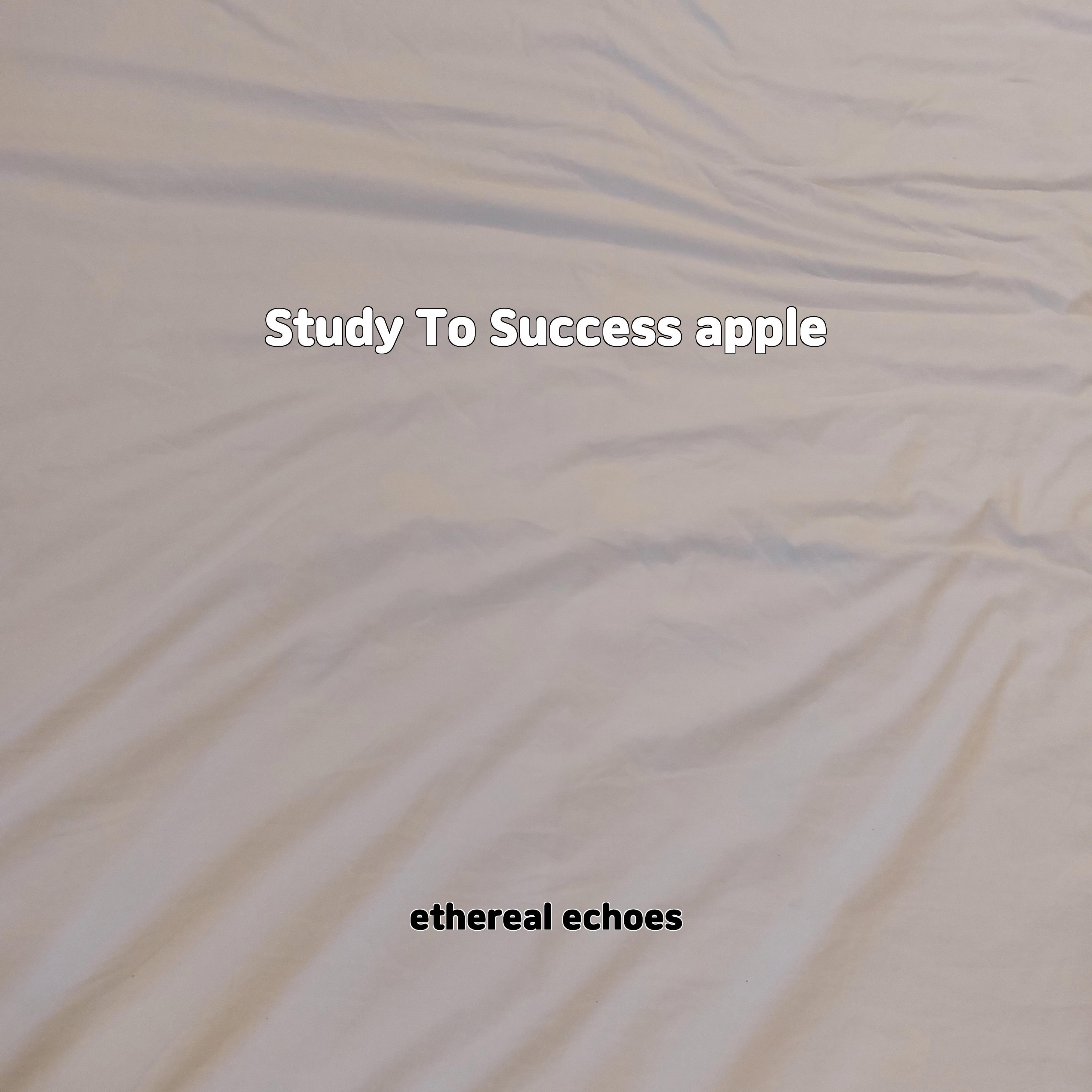 Постер альбома Study To Success apple