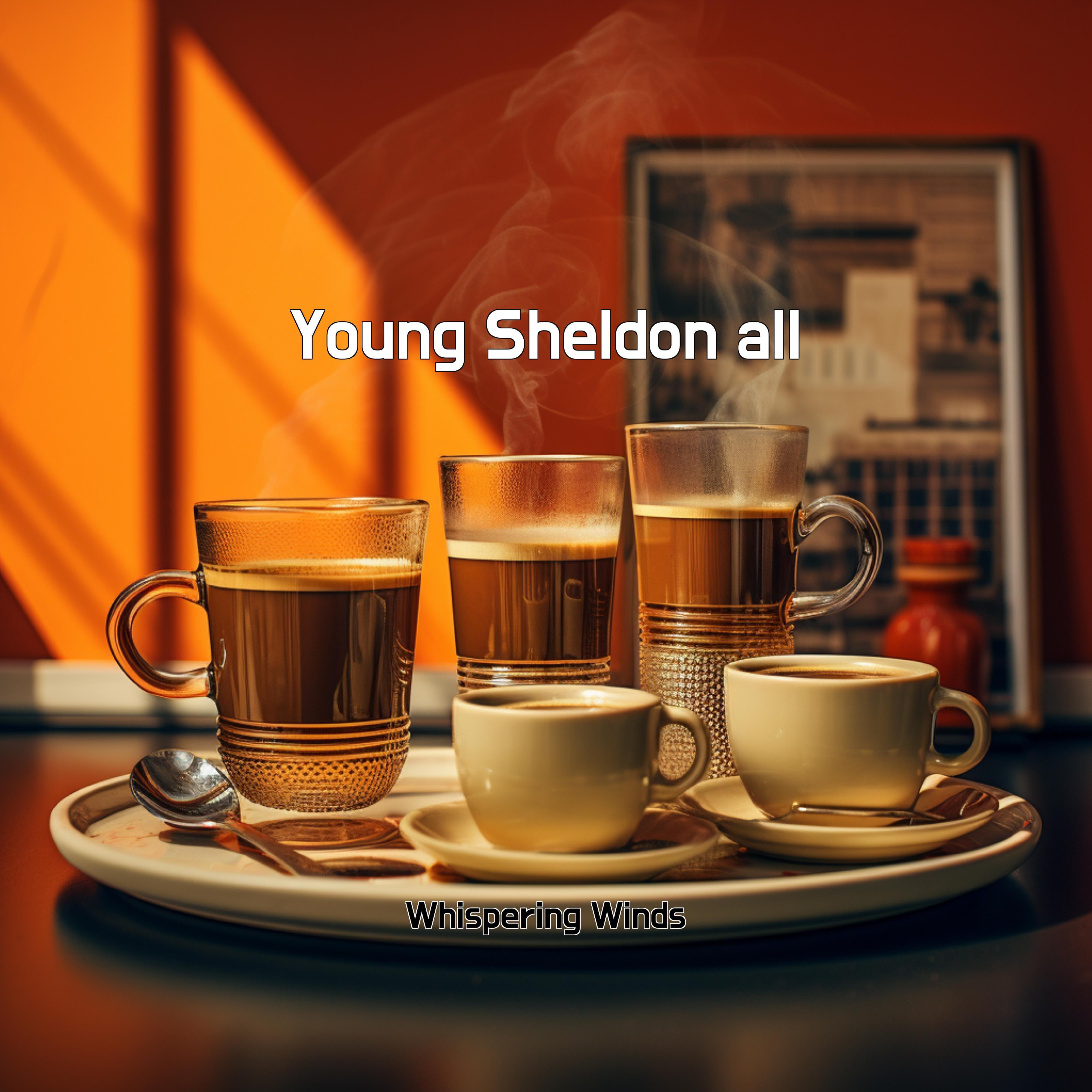 Постер альбома Young Sheldon all