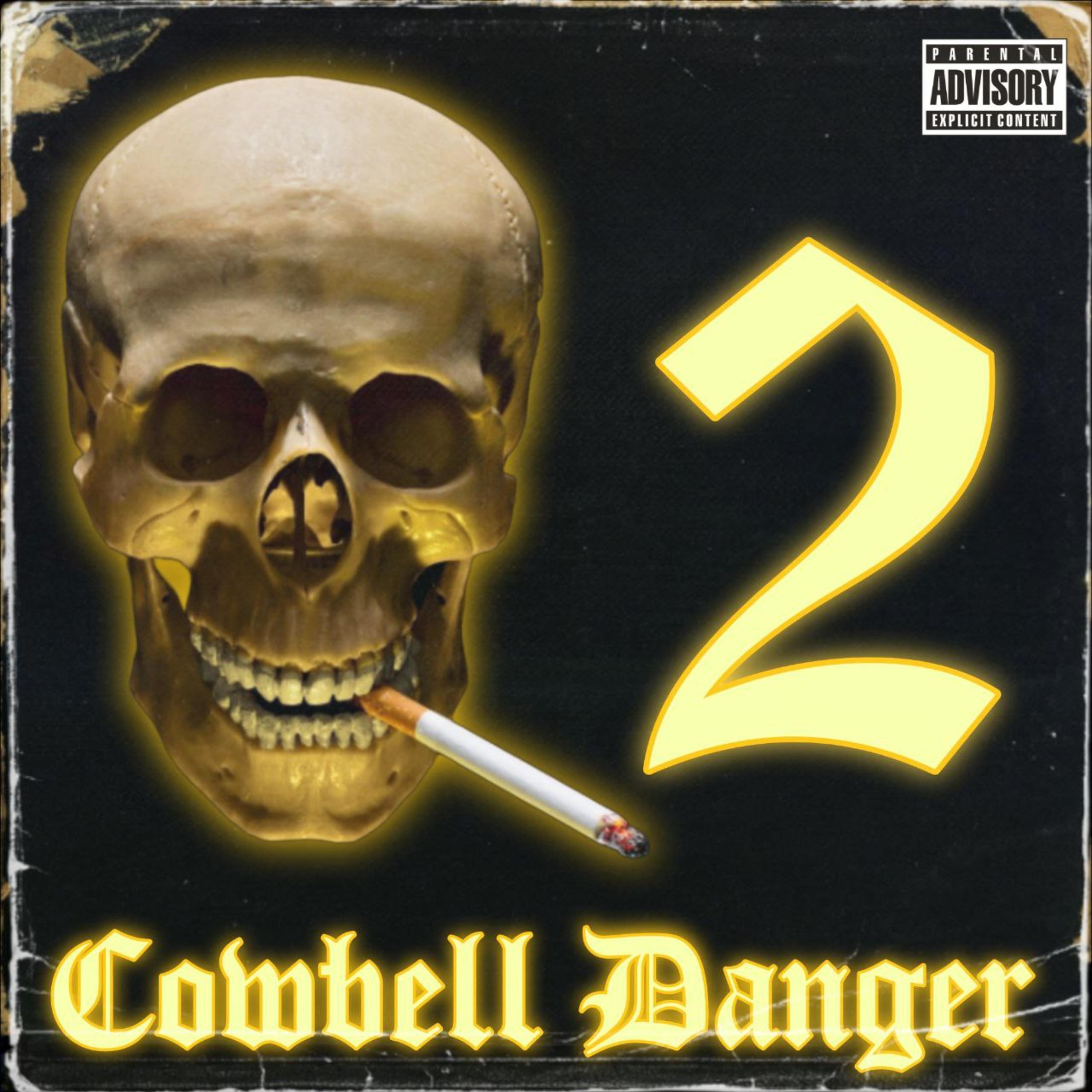 Постер альбома Cowbell Danger Vol.2